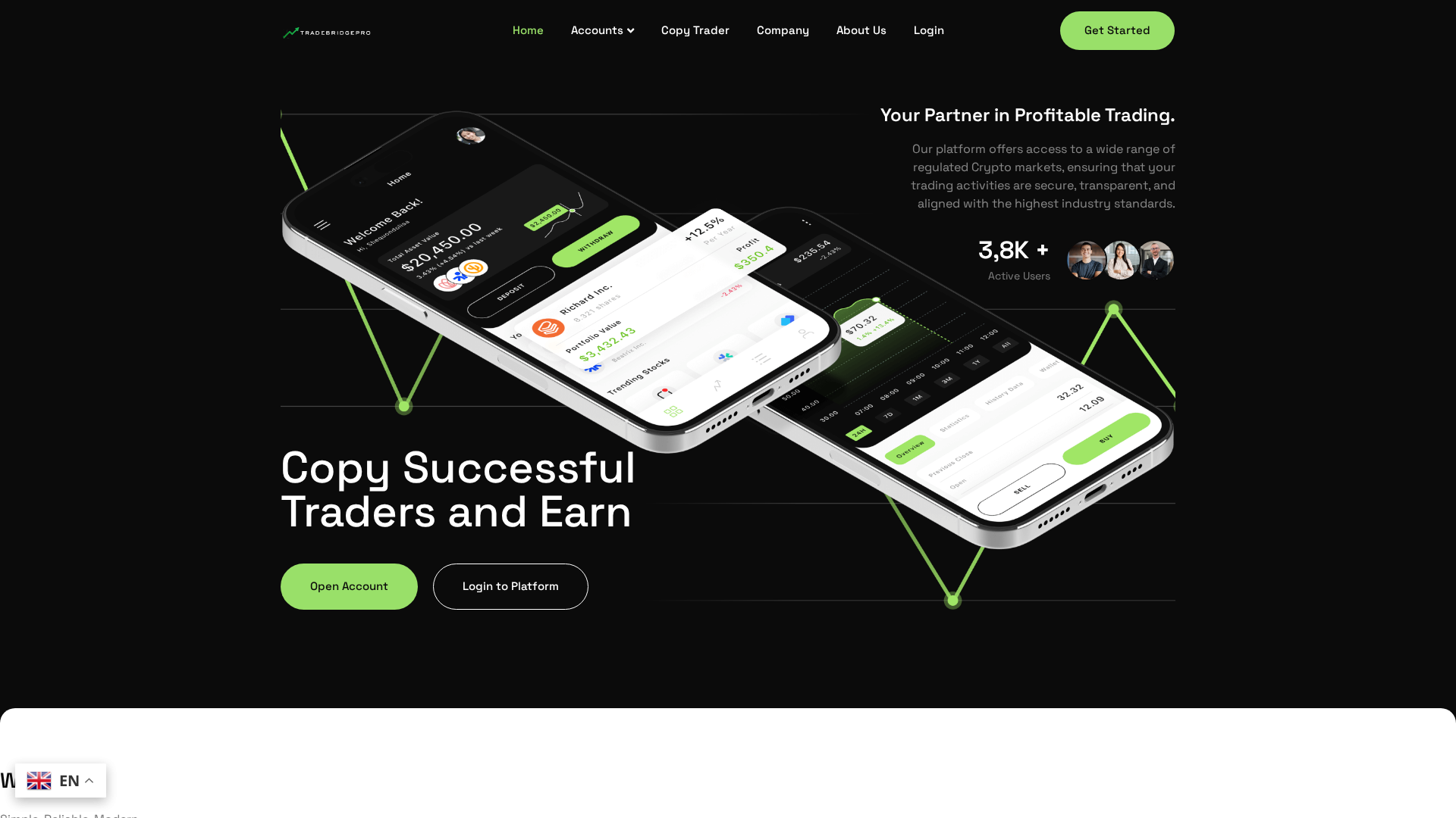 Screenshot of tradebridgepro.net