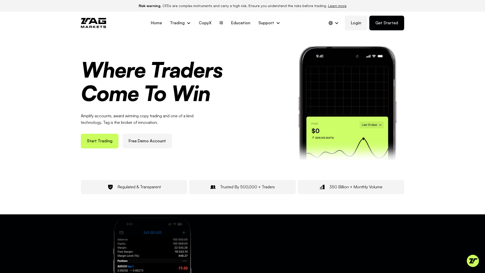 Screenshot of tagmarkets.net
