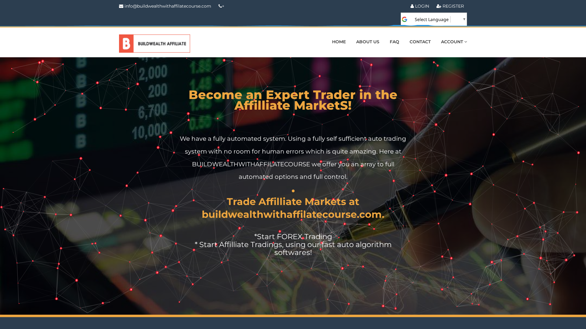 Screenshot of buildwealthwithaffilatecourse.com