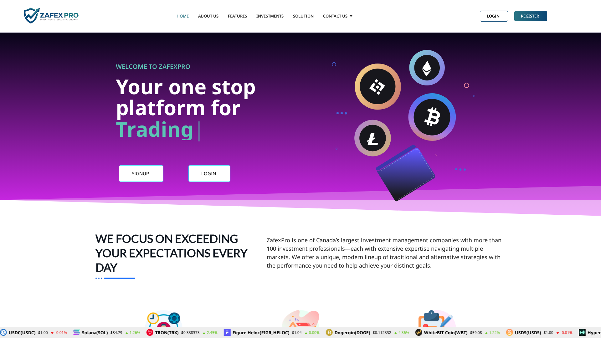 Screenshot of zafexpro.com