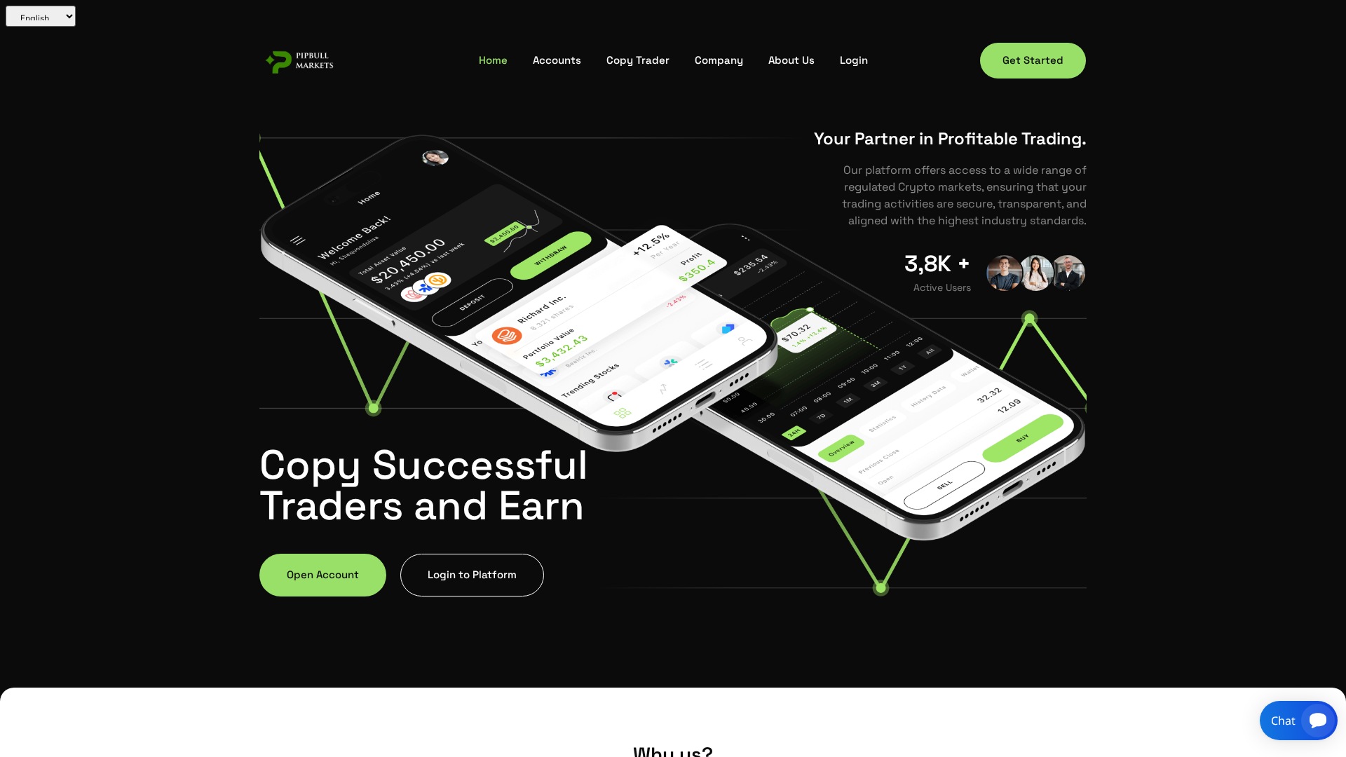 Screenshot of pipbullmarkets.com