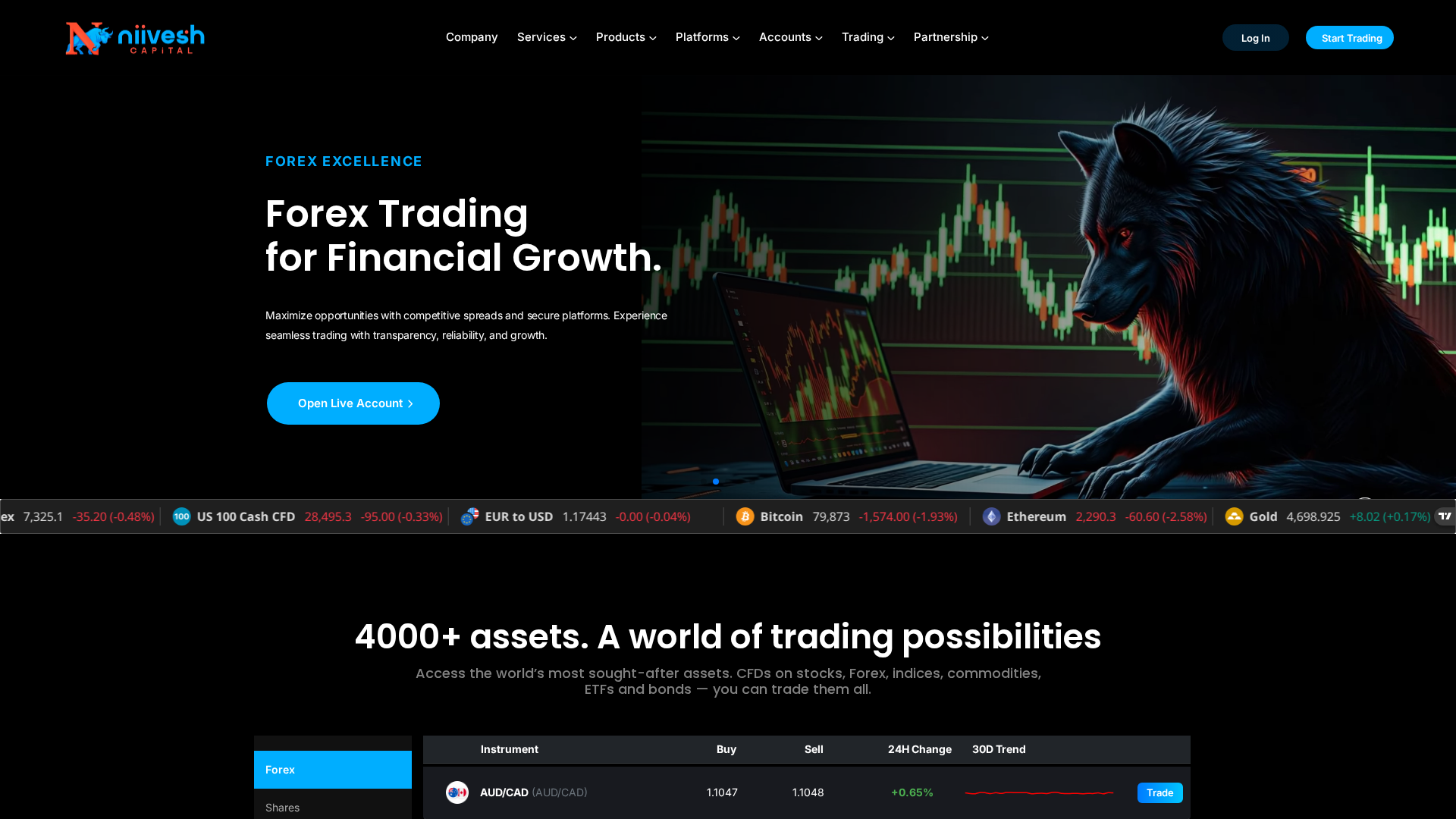 Screenshot of niiveshcapital.com