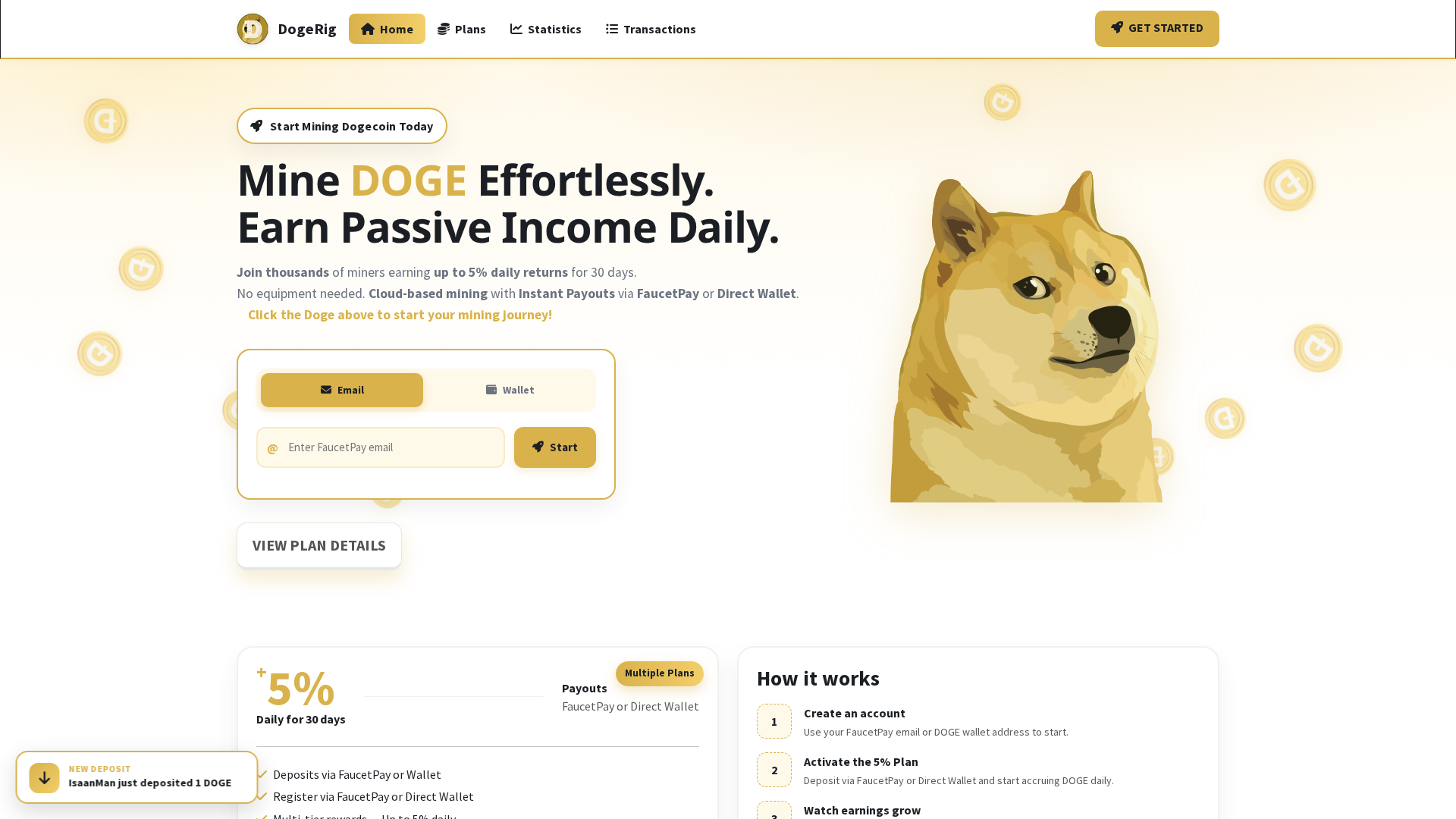 Screenshot of dogerig.com