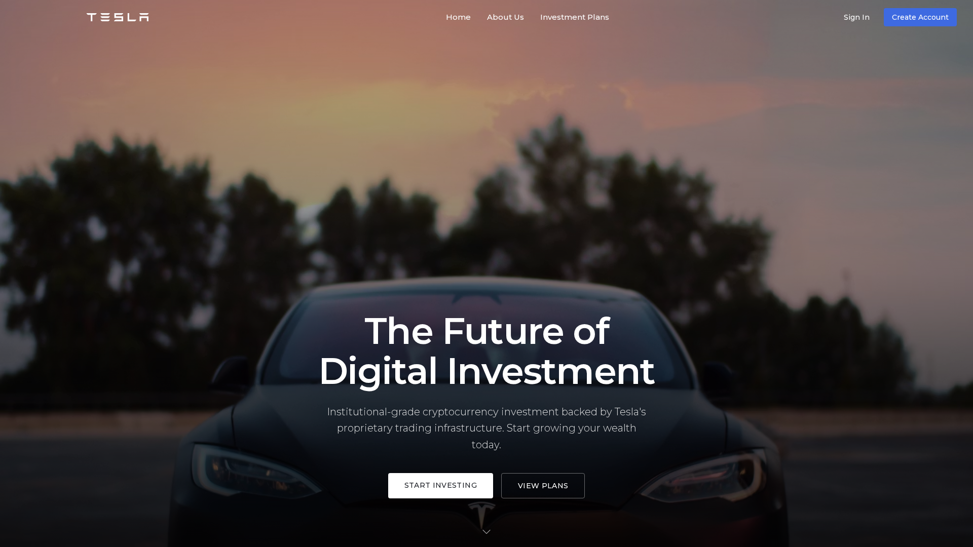 Screenshot of teslaholders.us