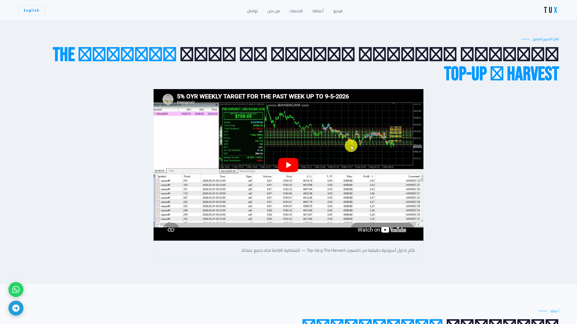 Screenshot of salmafx.com