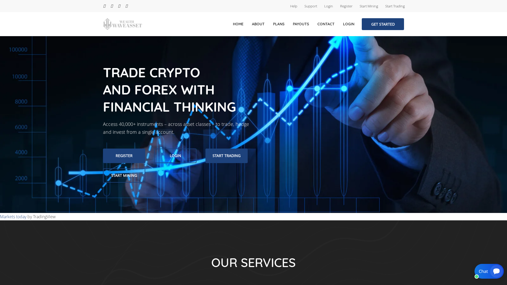 Screenshot of wealth-waveasset.com