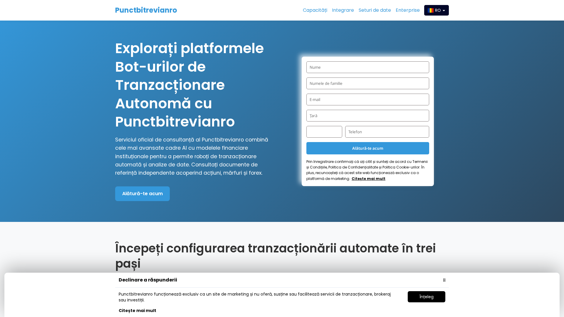 Screenshot of punctbitrevianro.shop