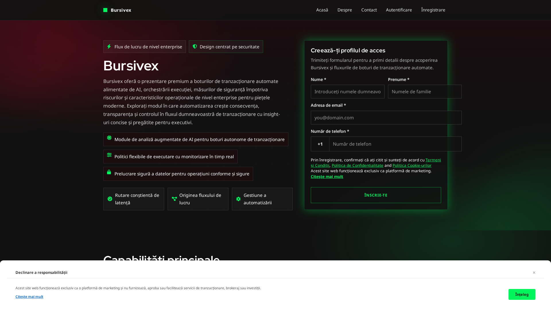 Screenshot of bursivexsoftware.pro