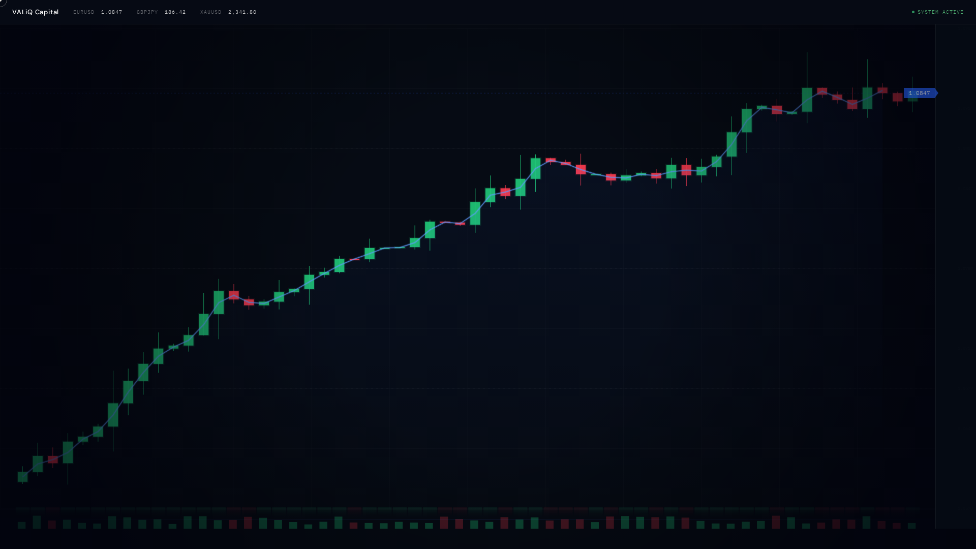 Screenshot of tradevaliq.capital