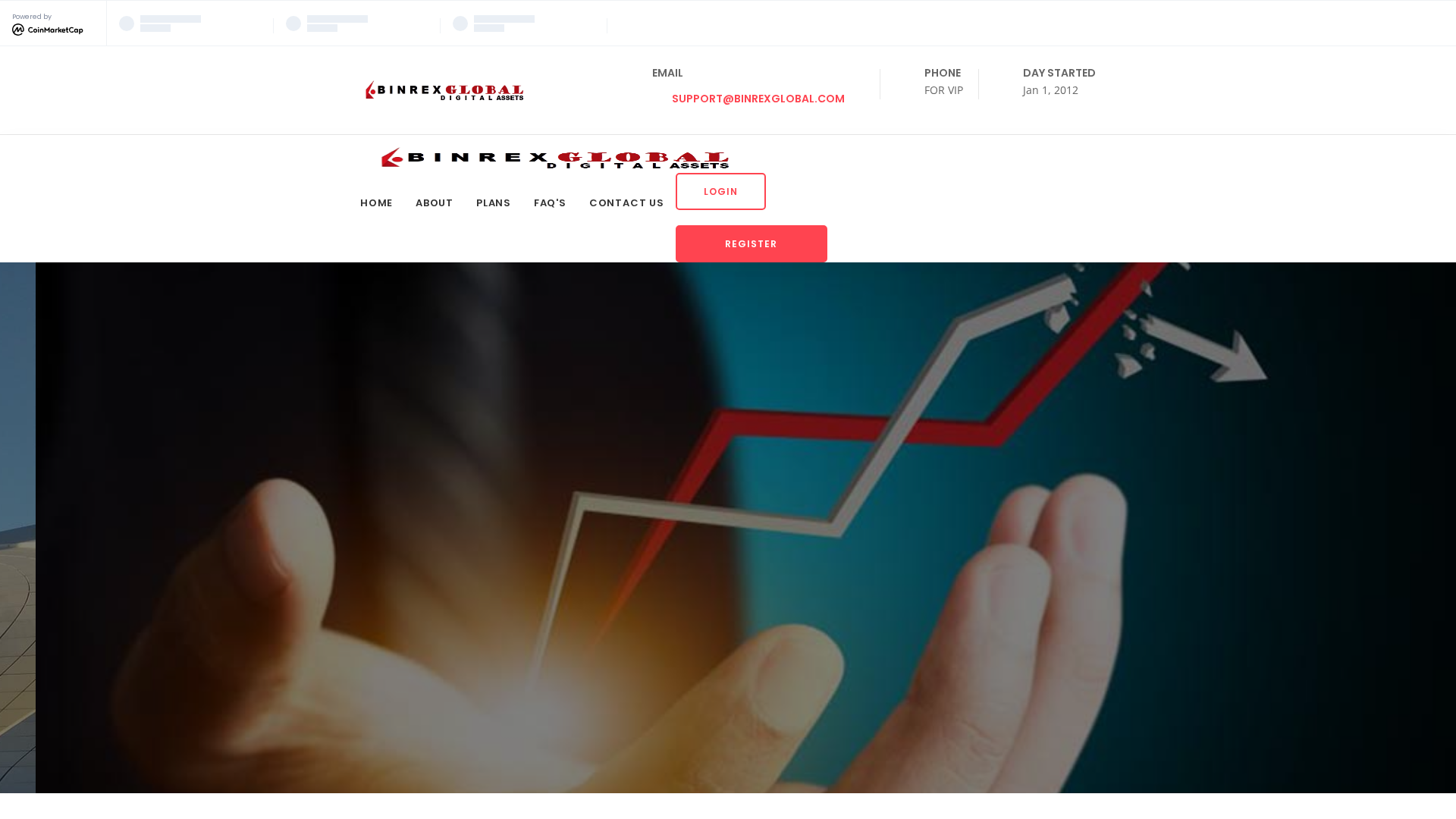 Screenshot of binrexglobal.com