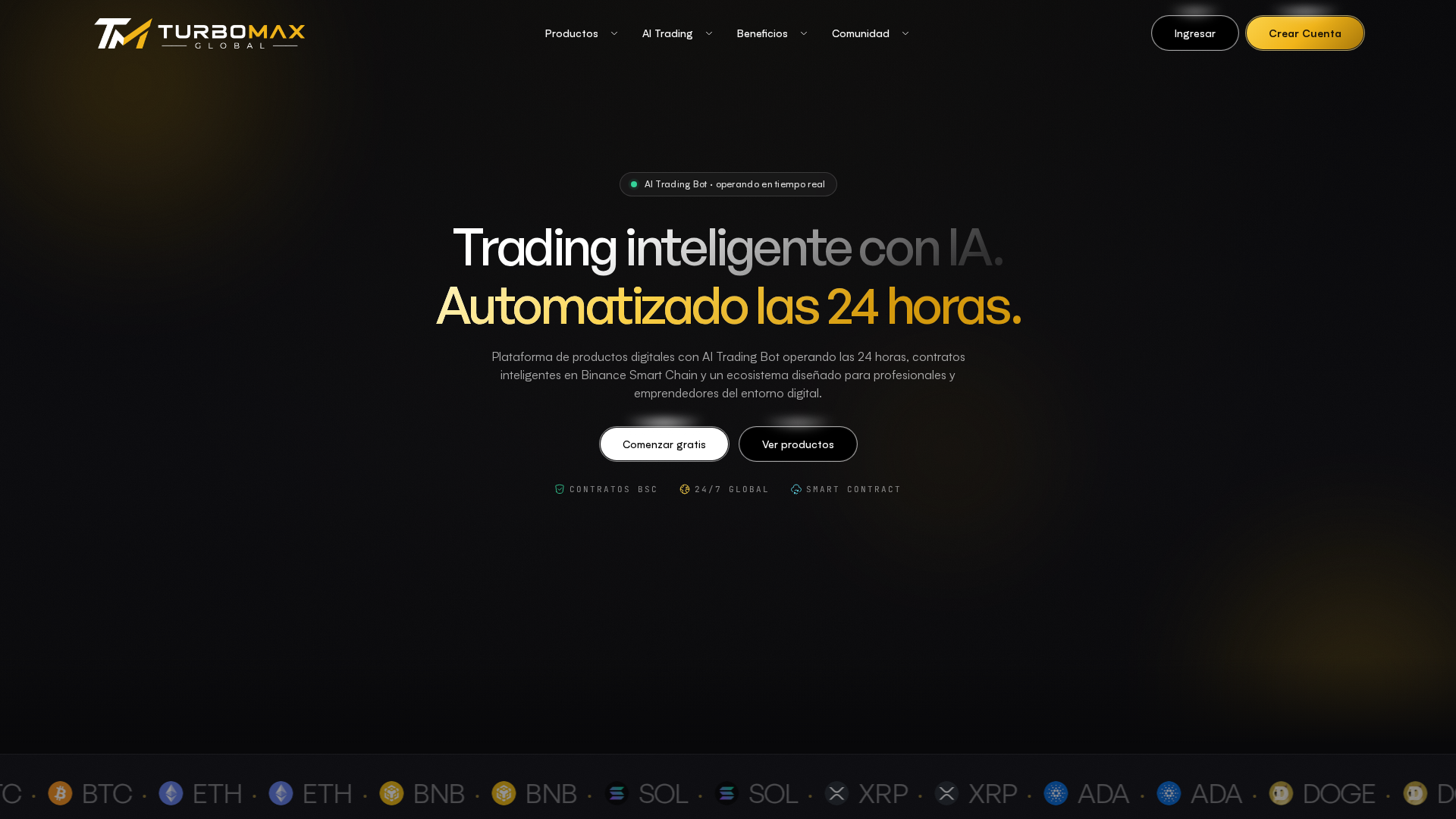 Screenshot of turbomaxglobal.com
