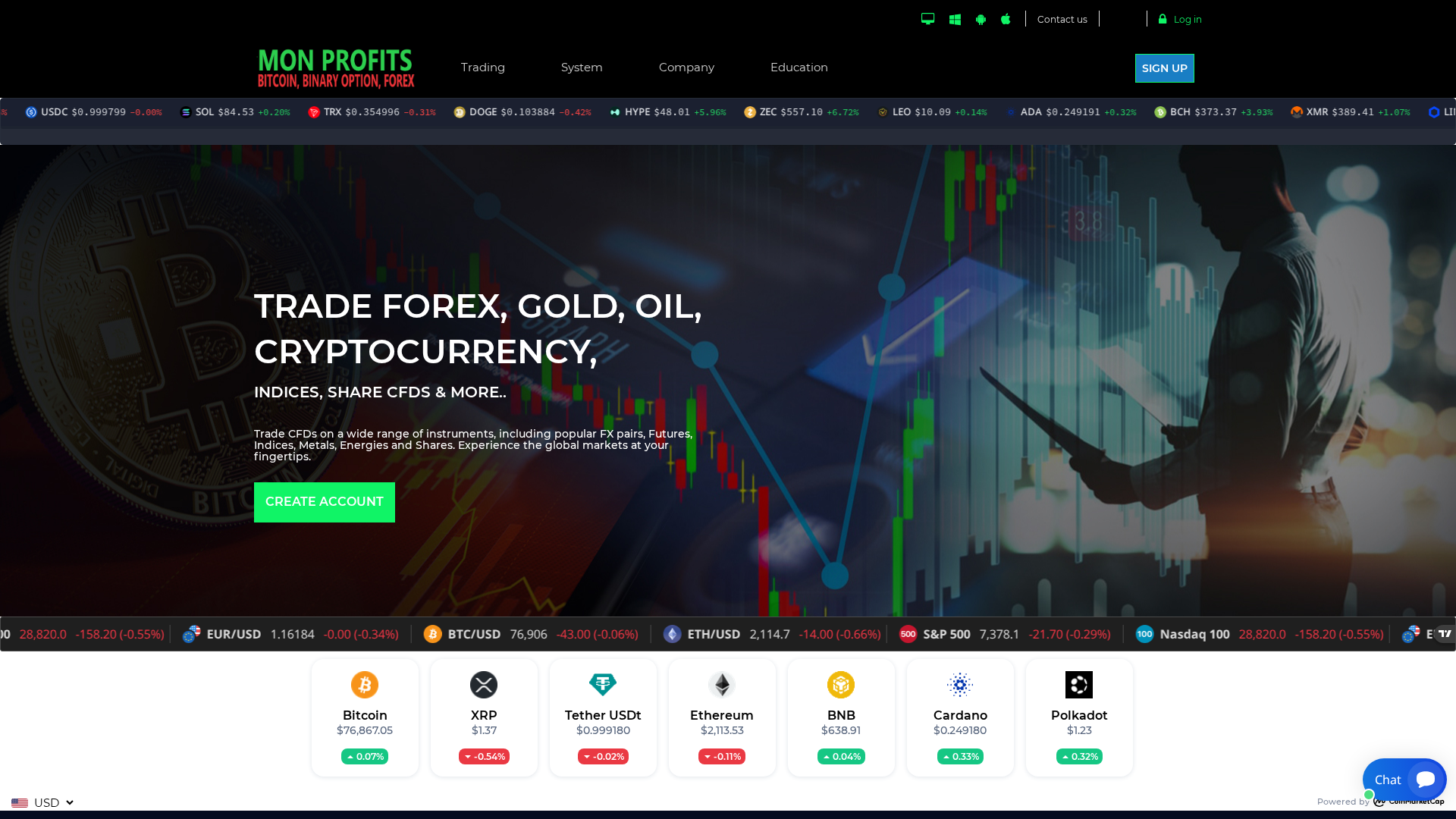 Screenshot of monsplanprofits.com