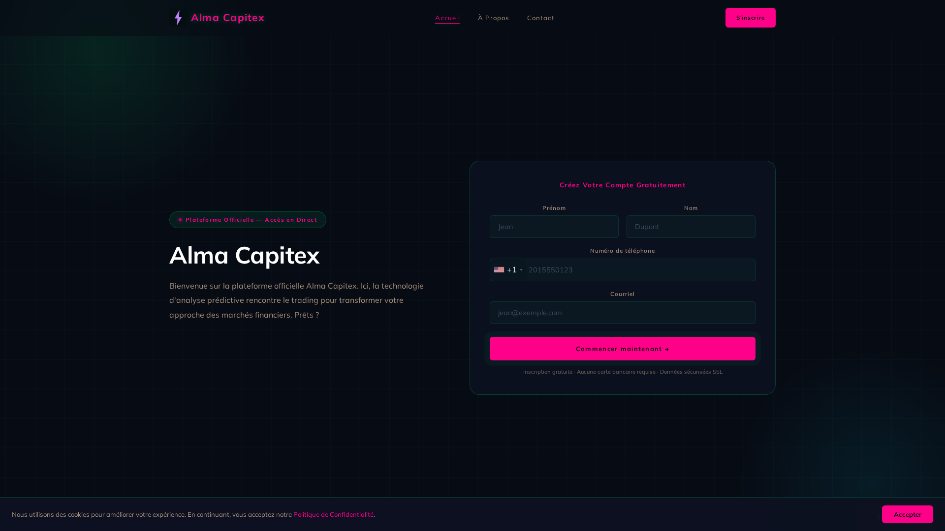Screenshot of almacapitex.info