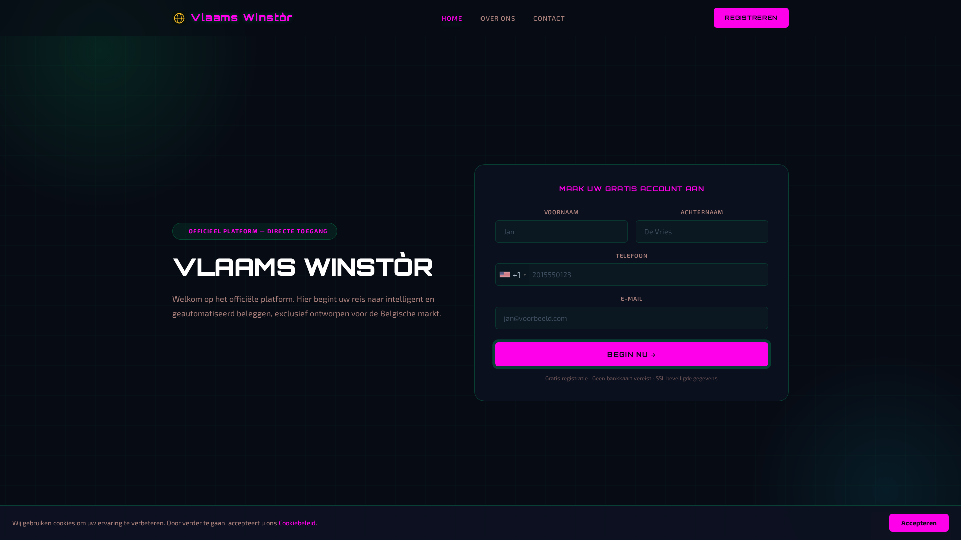 Screenshot of vlaamswinstor.pro