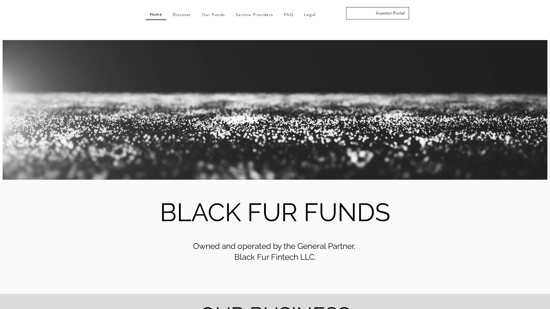 Screenshot of blackfurfunds.com