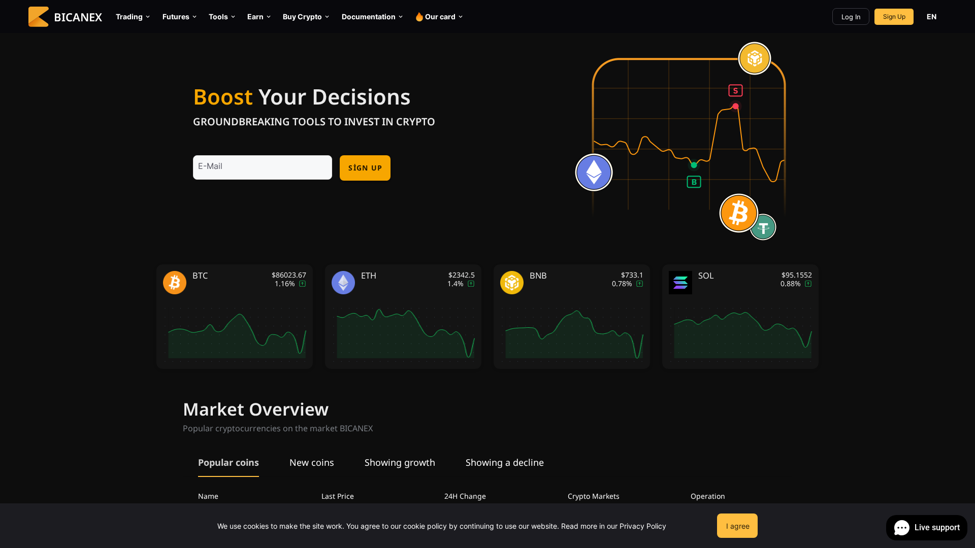 Screenshot of bicanex.com