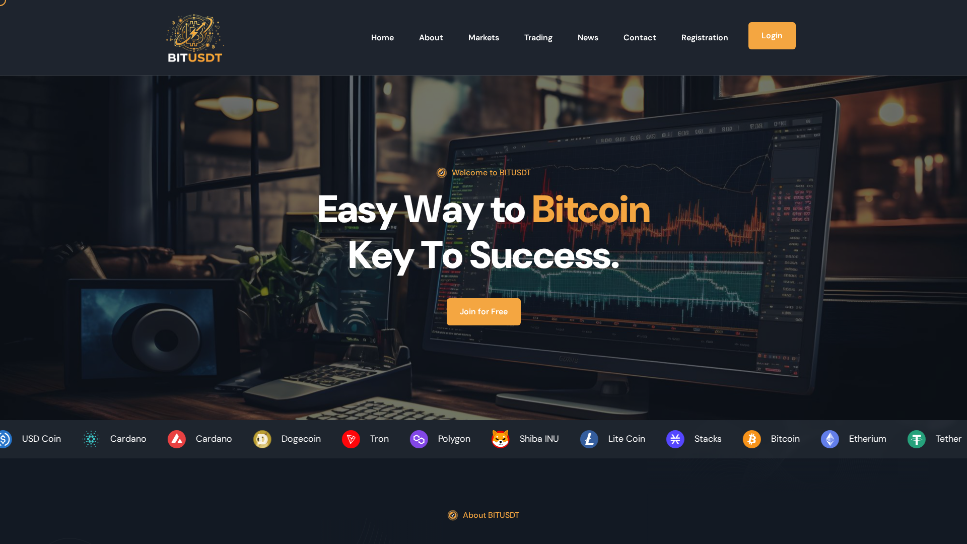 Screenshot of bitusdt.live