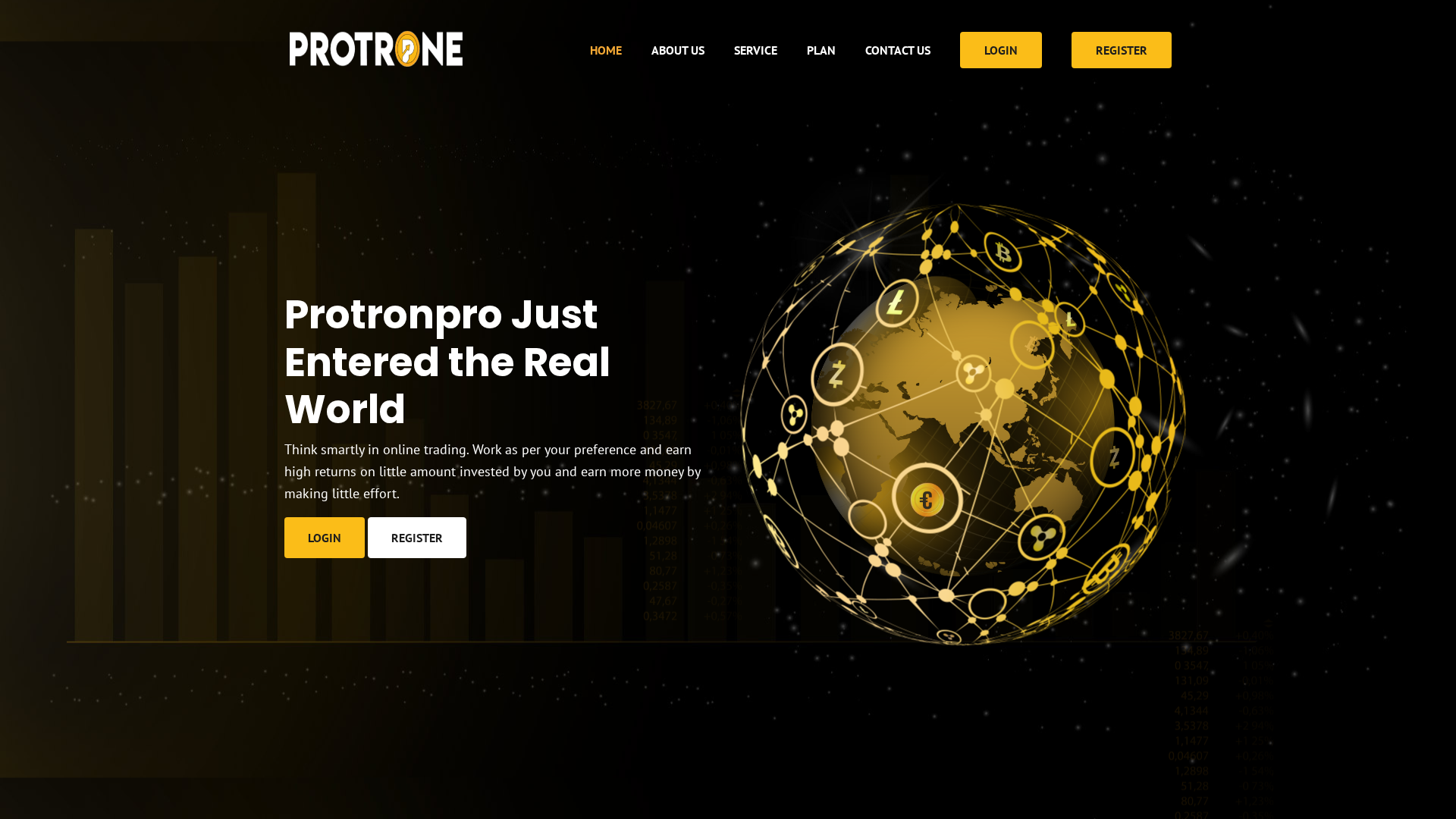 Screenshot of protronpro.com