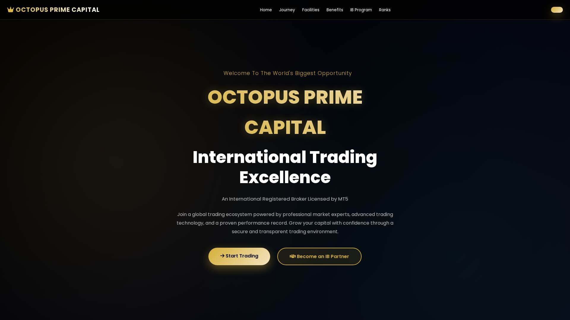Screenshot of octopusprimecapital.com
