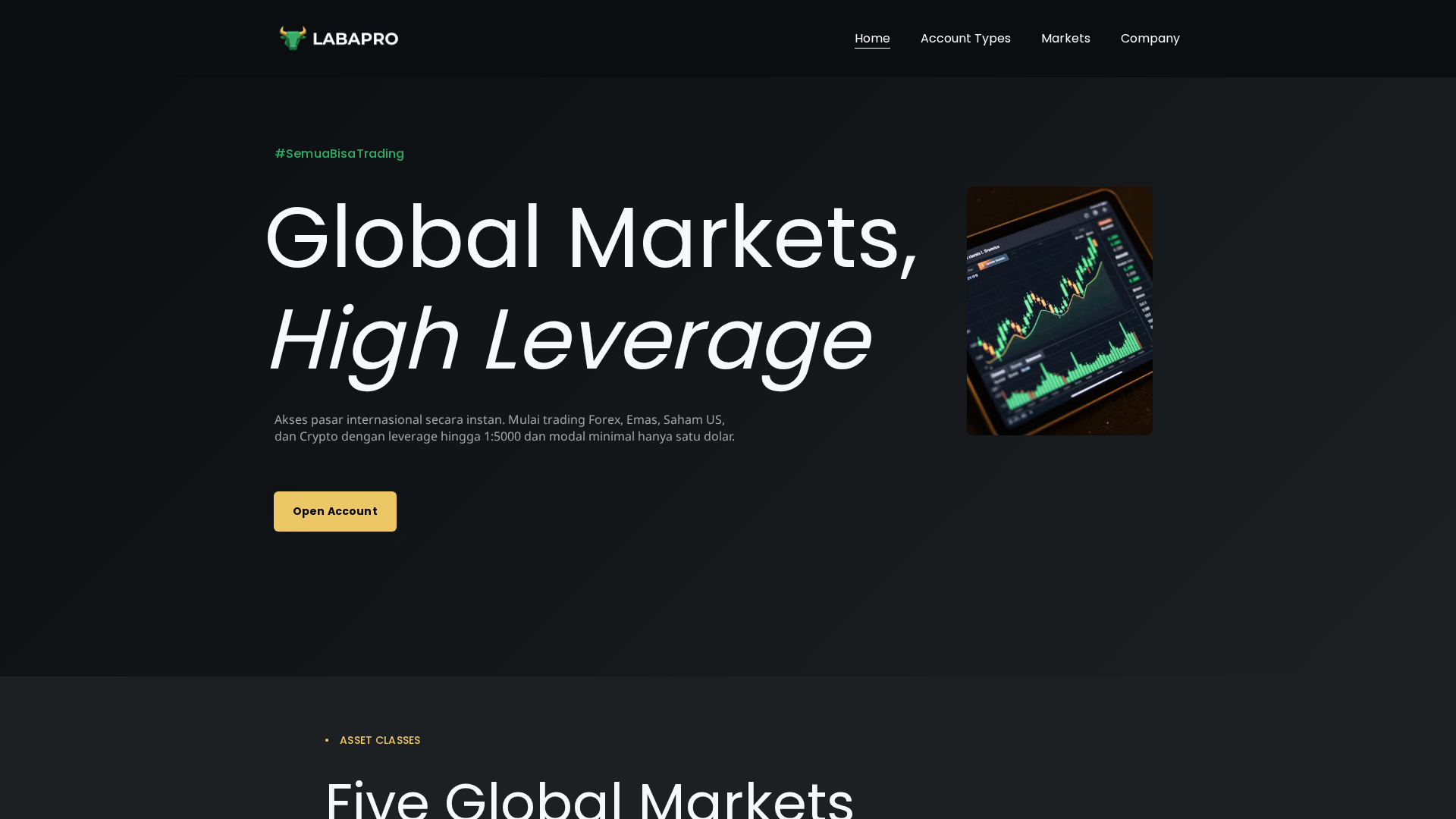 Screenshot of labapro.online