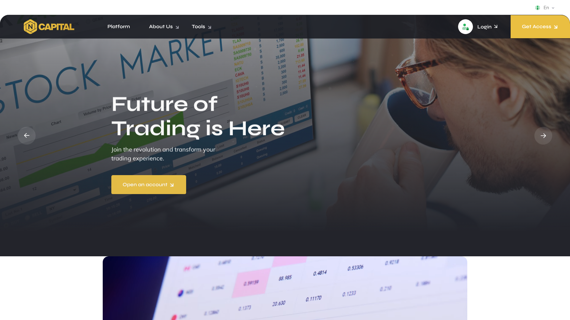 Screenshot of crm-financialeslpl.com