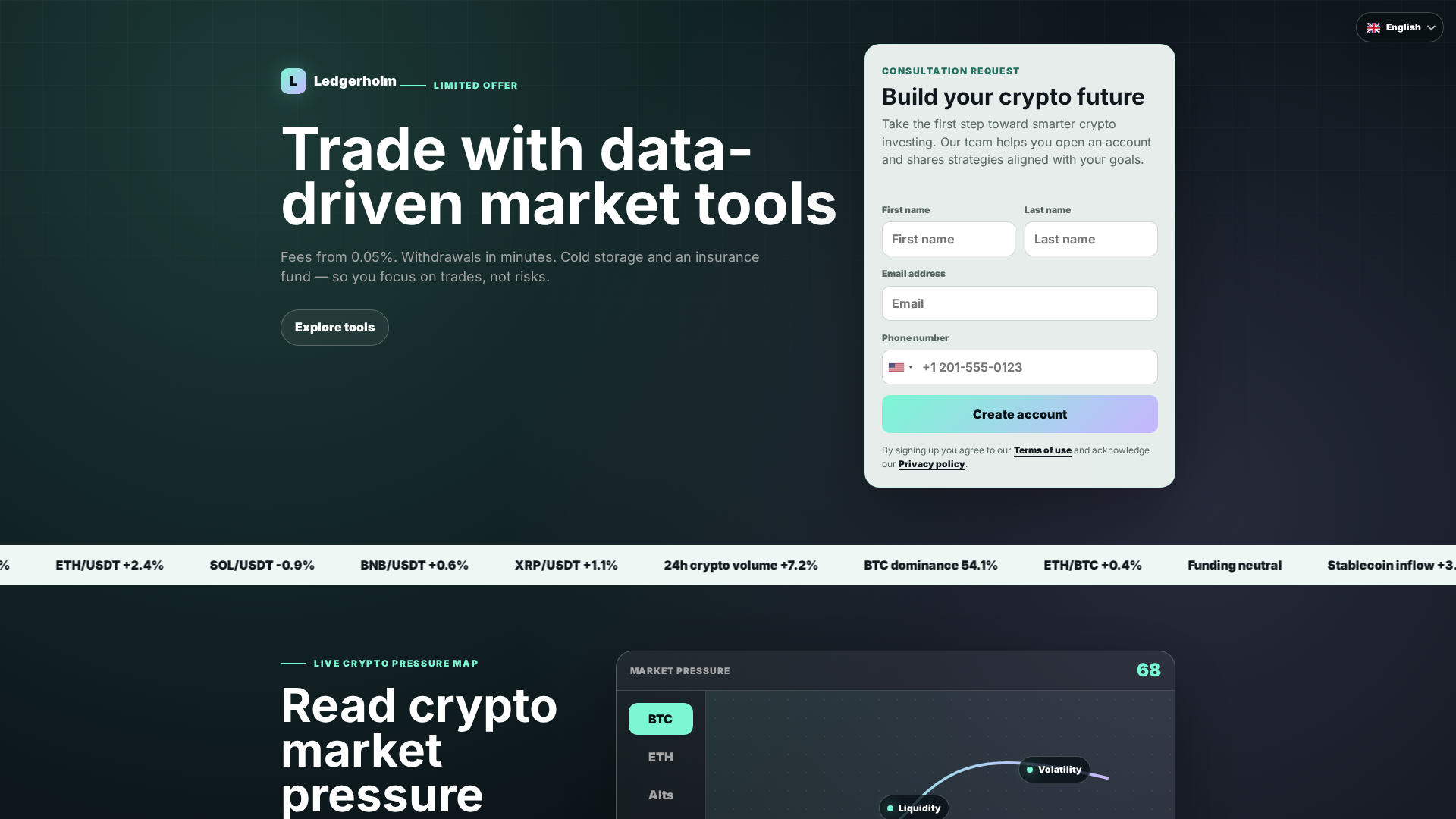 Screenshot of ledgerholm-platform.com