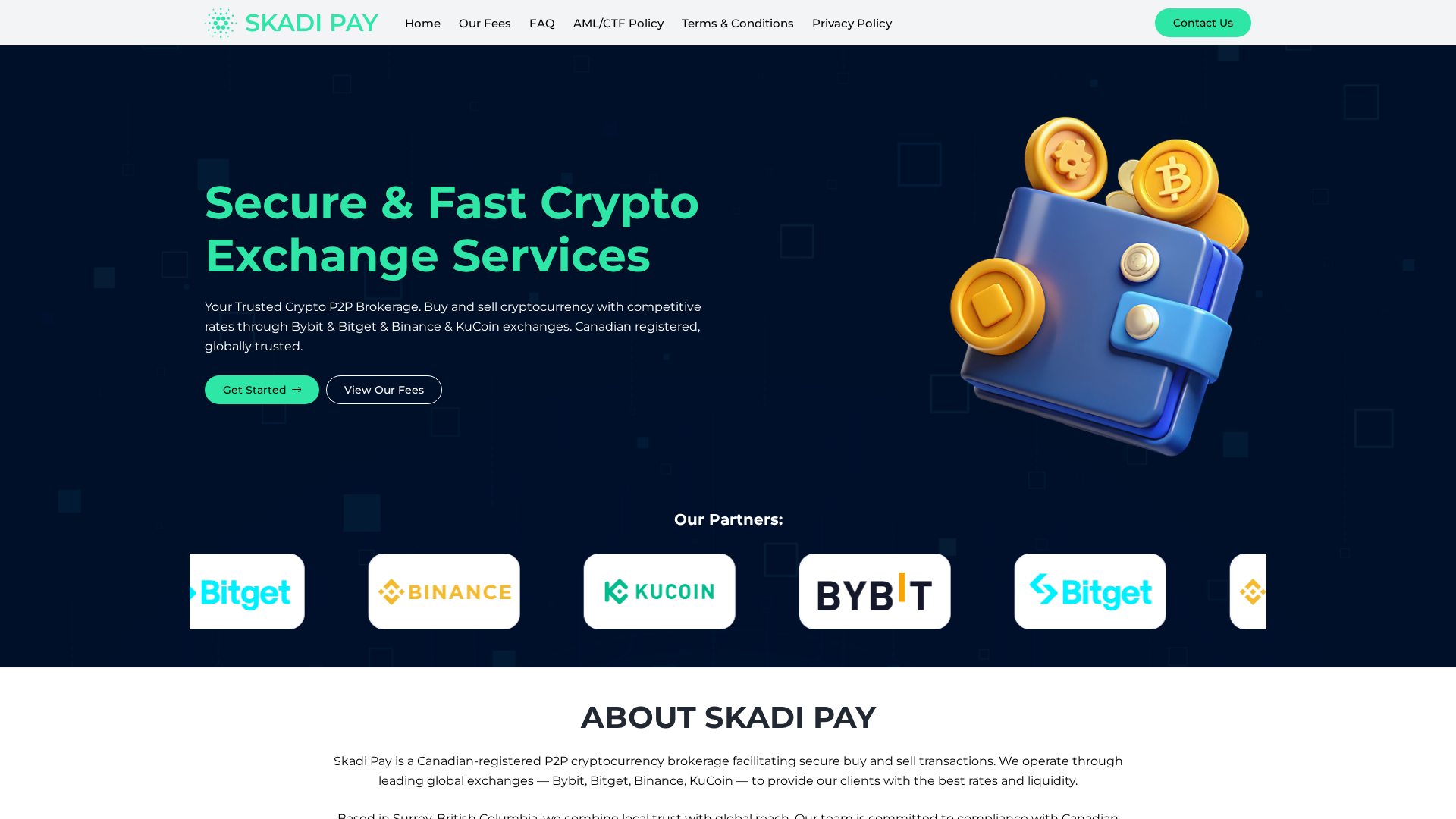 Screenshot of skadi-pay.com