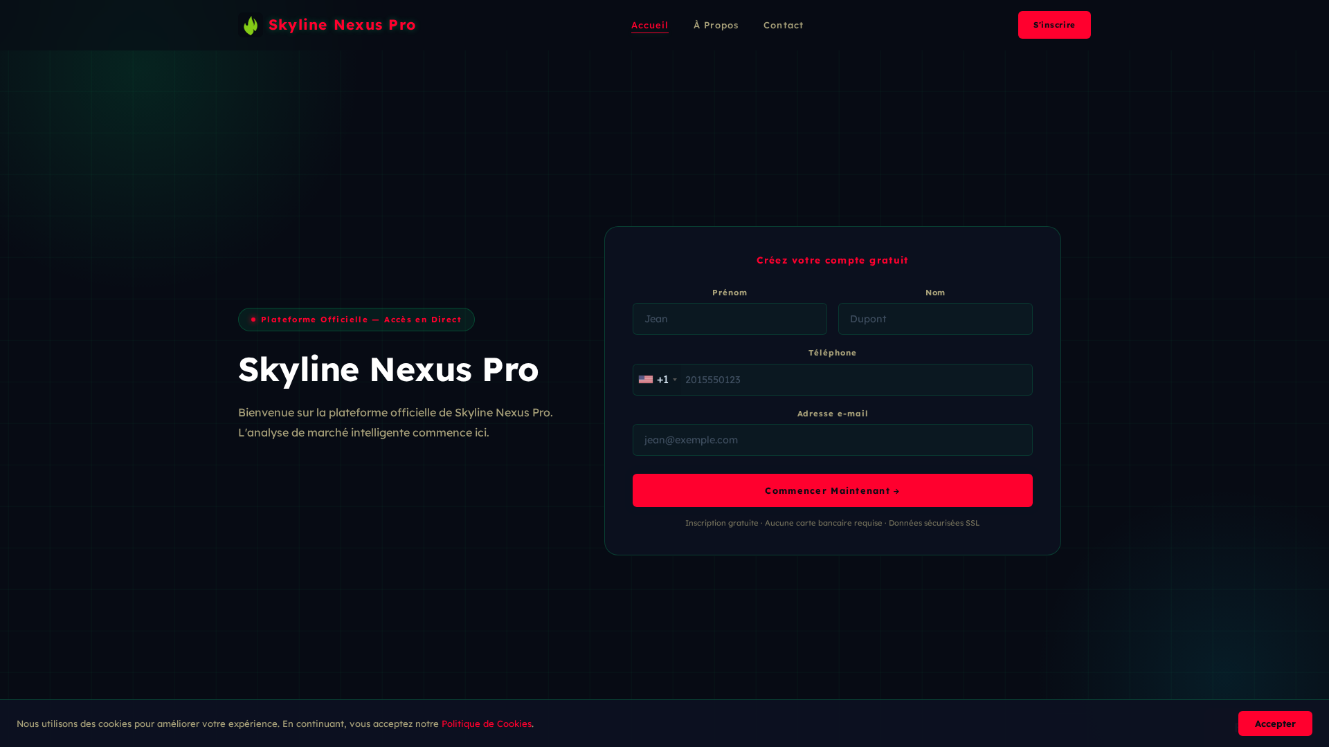 Screenshot of skylinenexuspro-ai.com