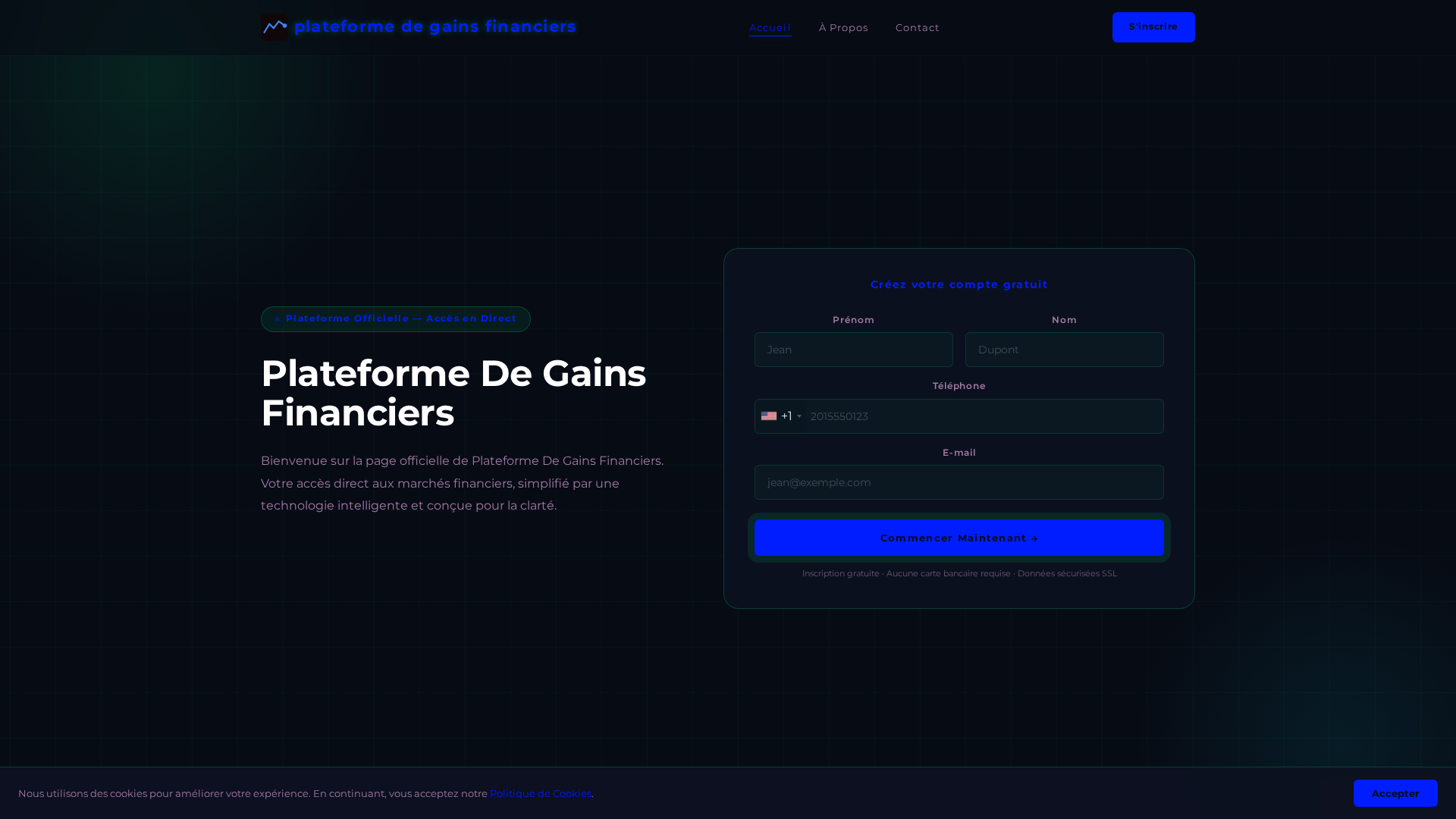 Screenshot of plateformedegainsfinanciers.com