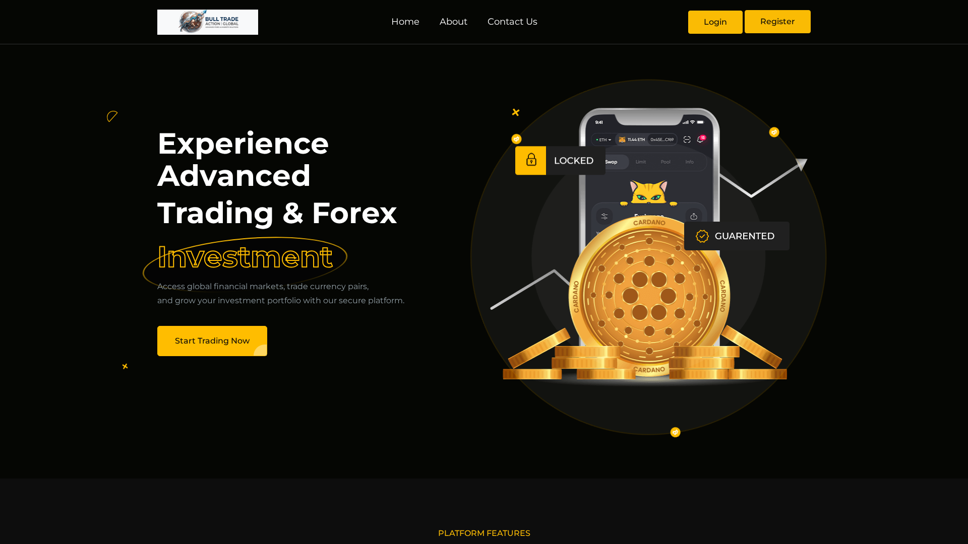 Screenshot of bulltradeactionglobal.com