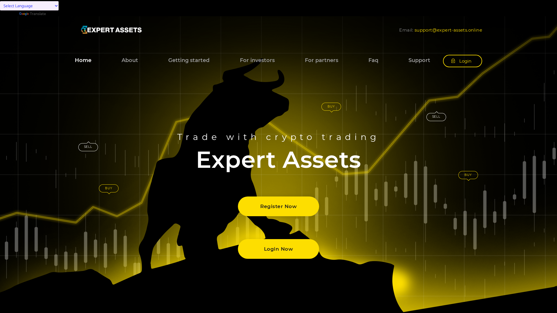 Screenshot of expert-assets.online