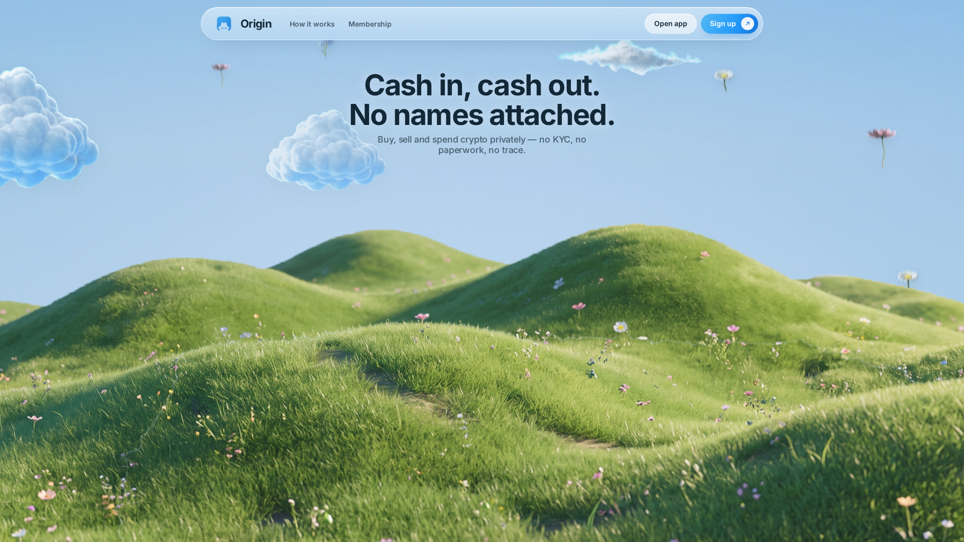 Screenshot of paywithorigin.com