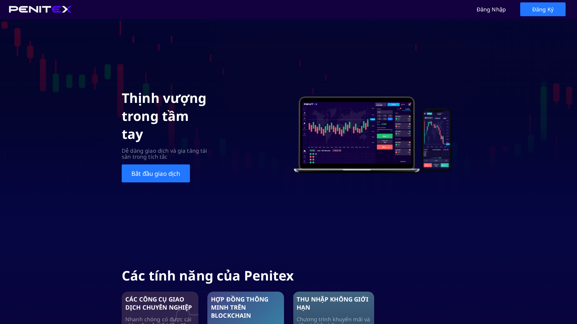 Screenshot of aciitex.net