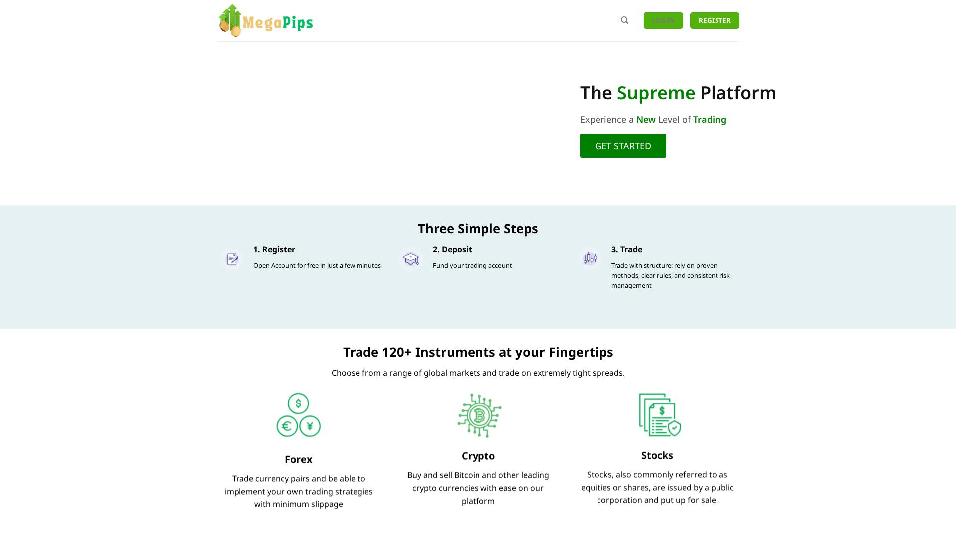Screenshot of megapip.pro