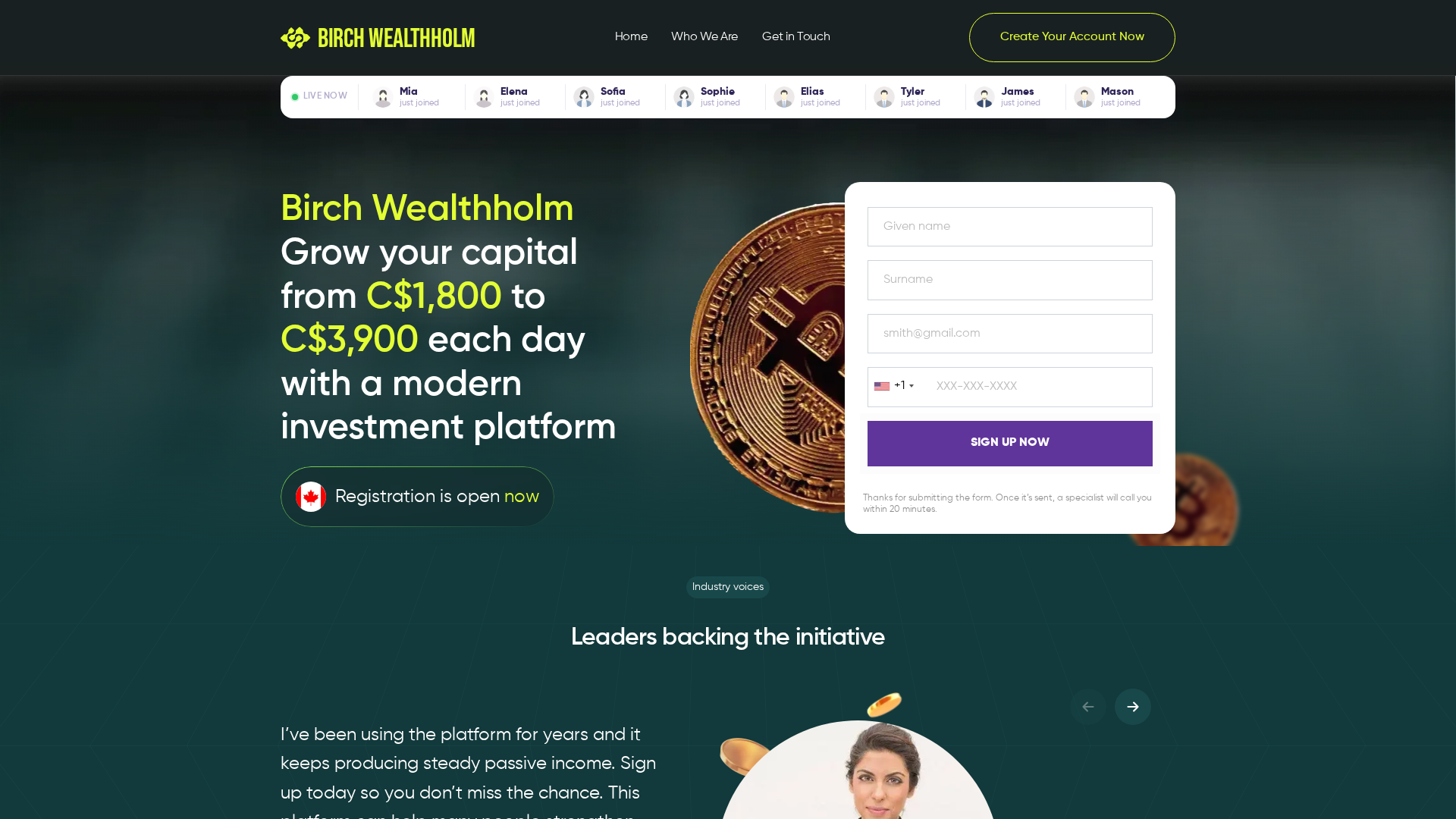 Screenshot of birchwealthholm-ai.com