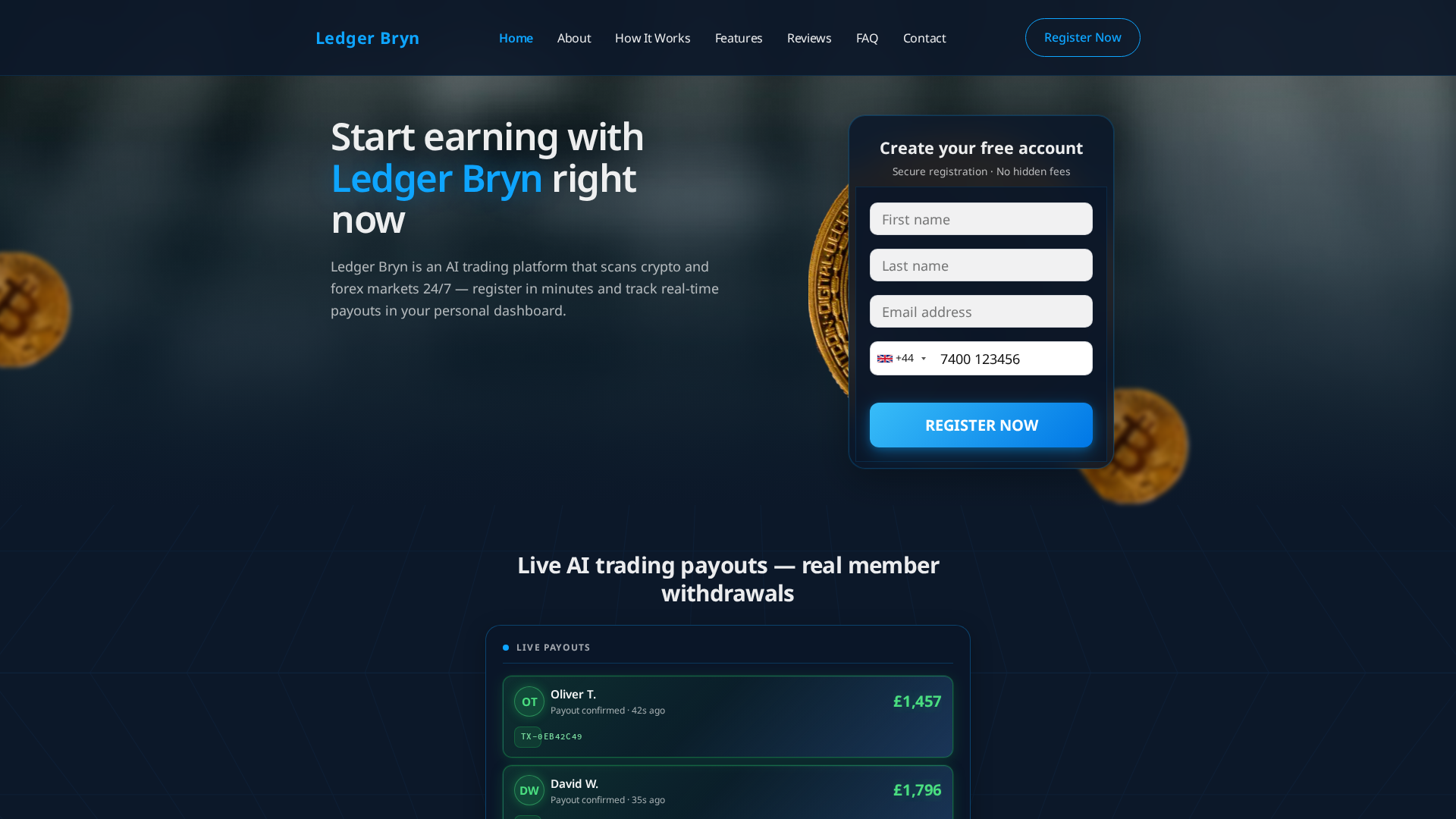 Screenshot of ledgerbryn.help