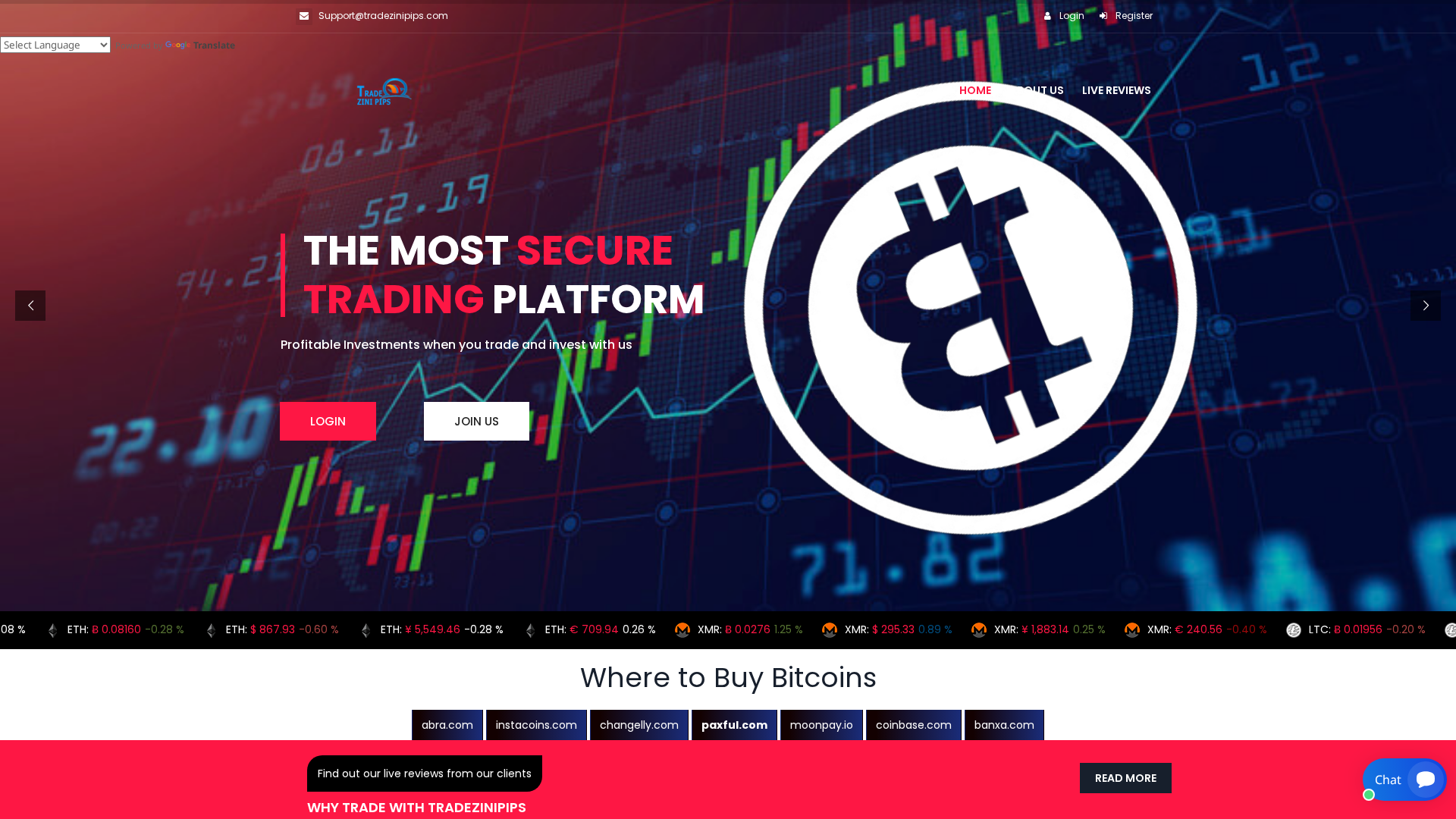 Screenshot of tradezinipips.com