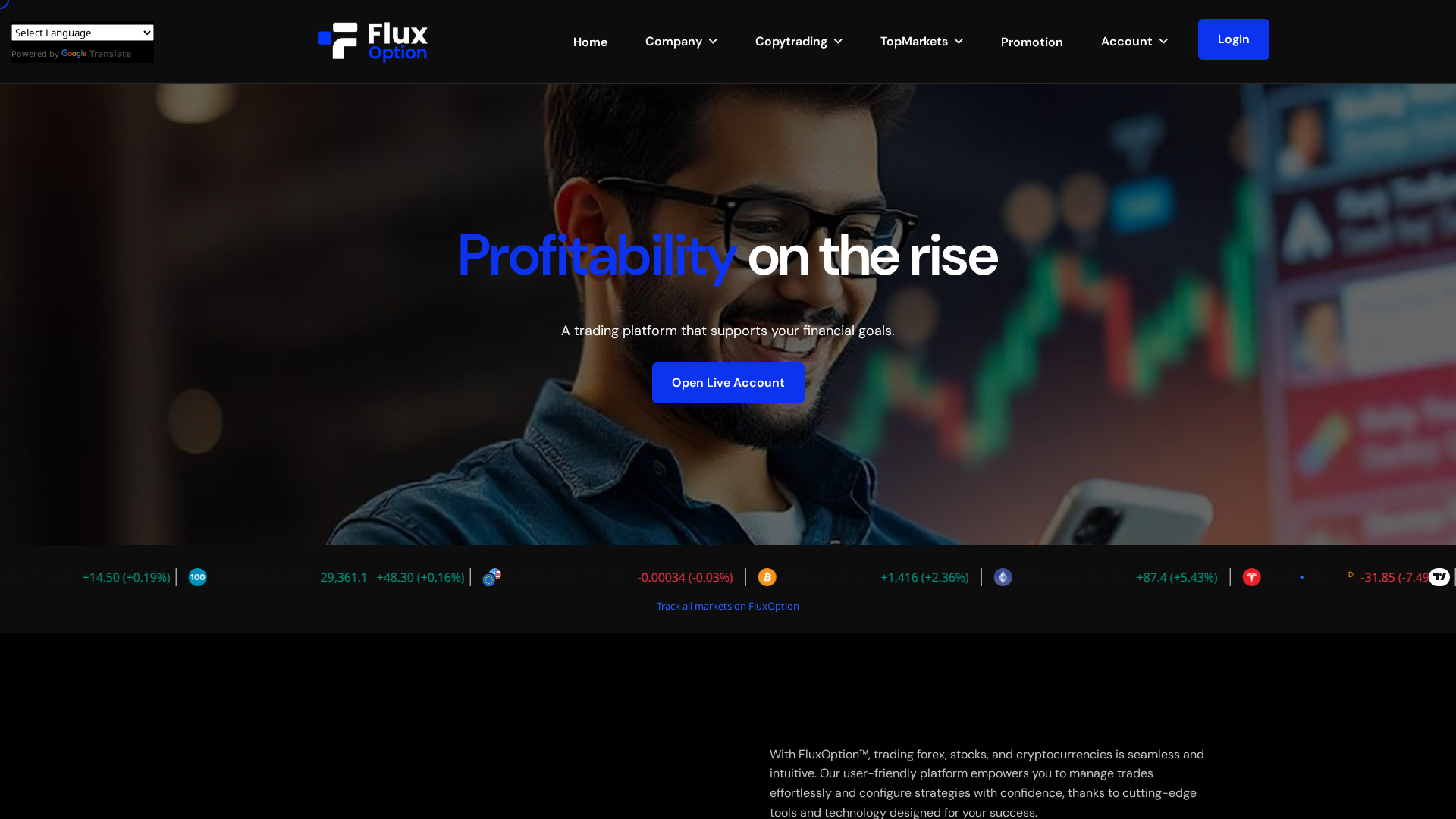 Screenshot of flux-option.com