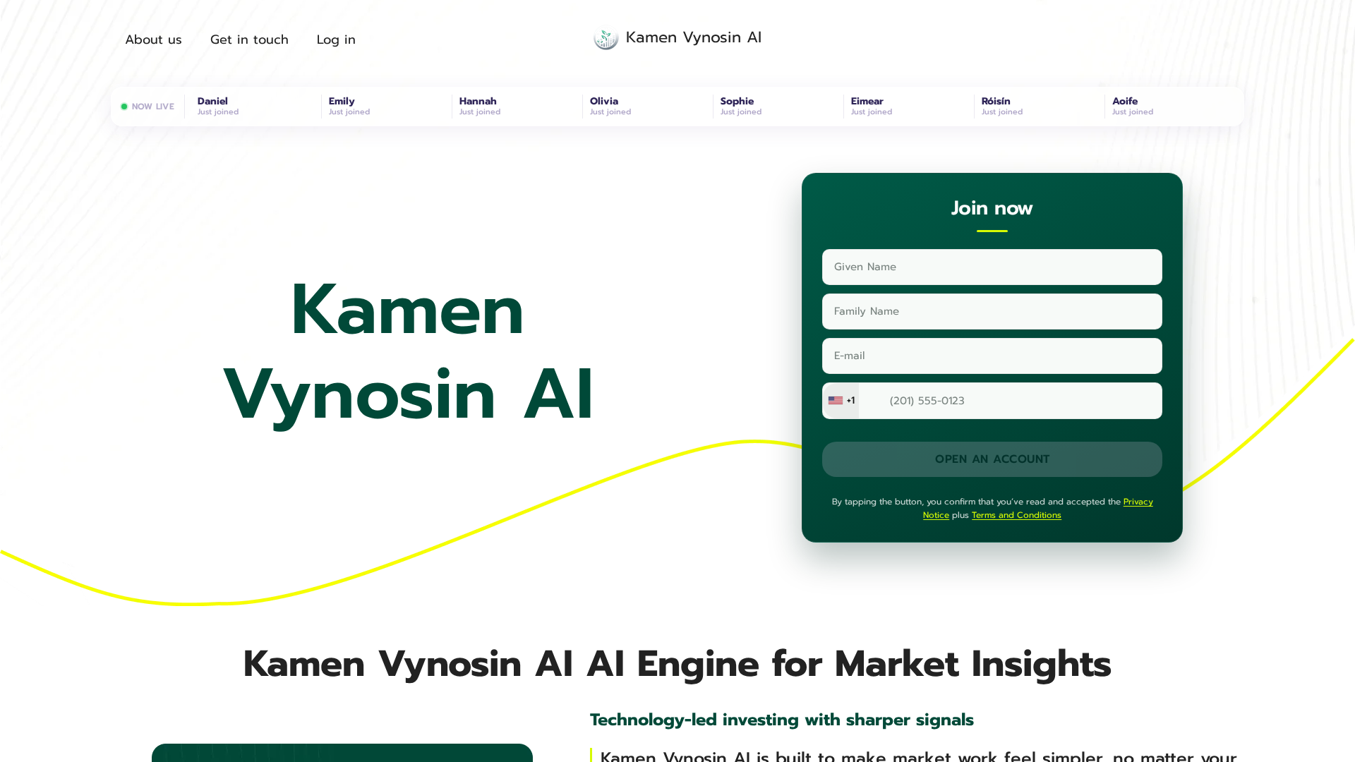 Screenshot of kamen-vynosin-ai.sbs