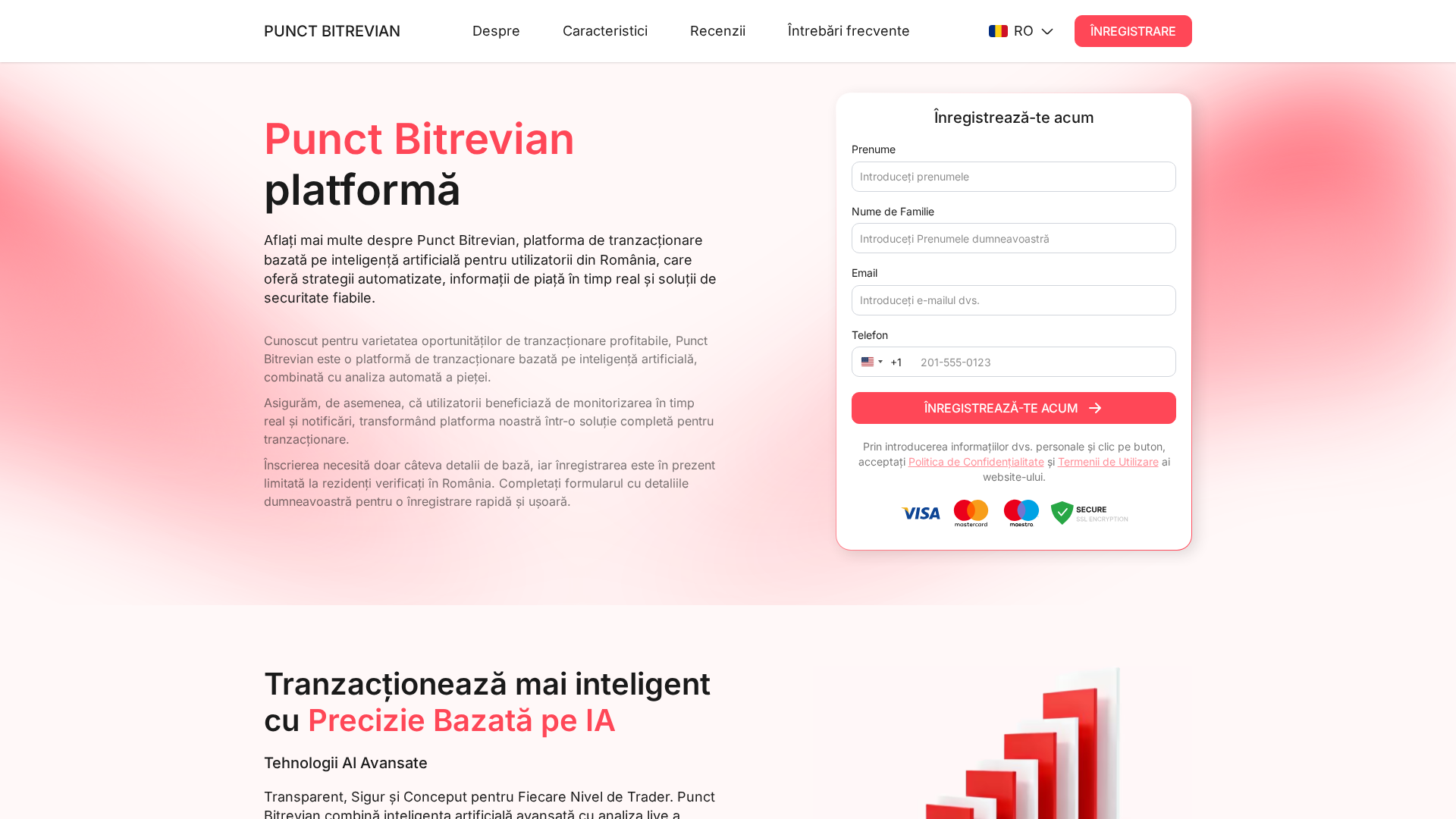 Screenshot of punct-bitrevian.net