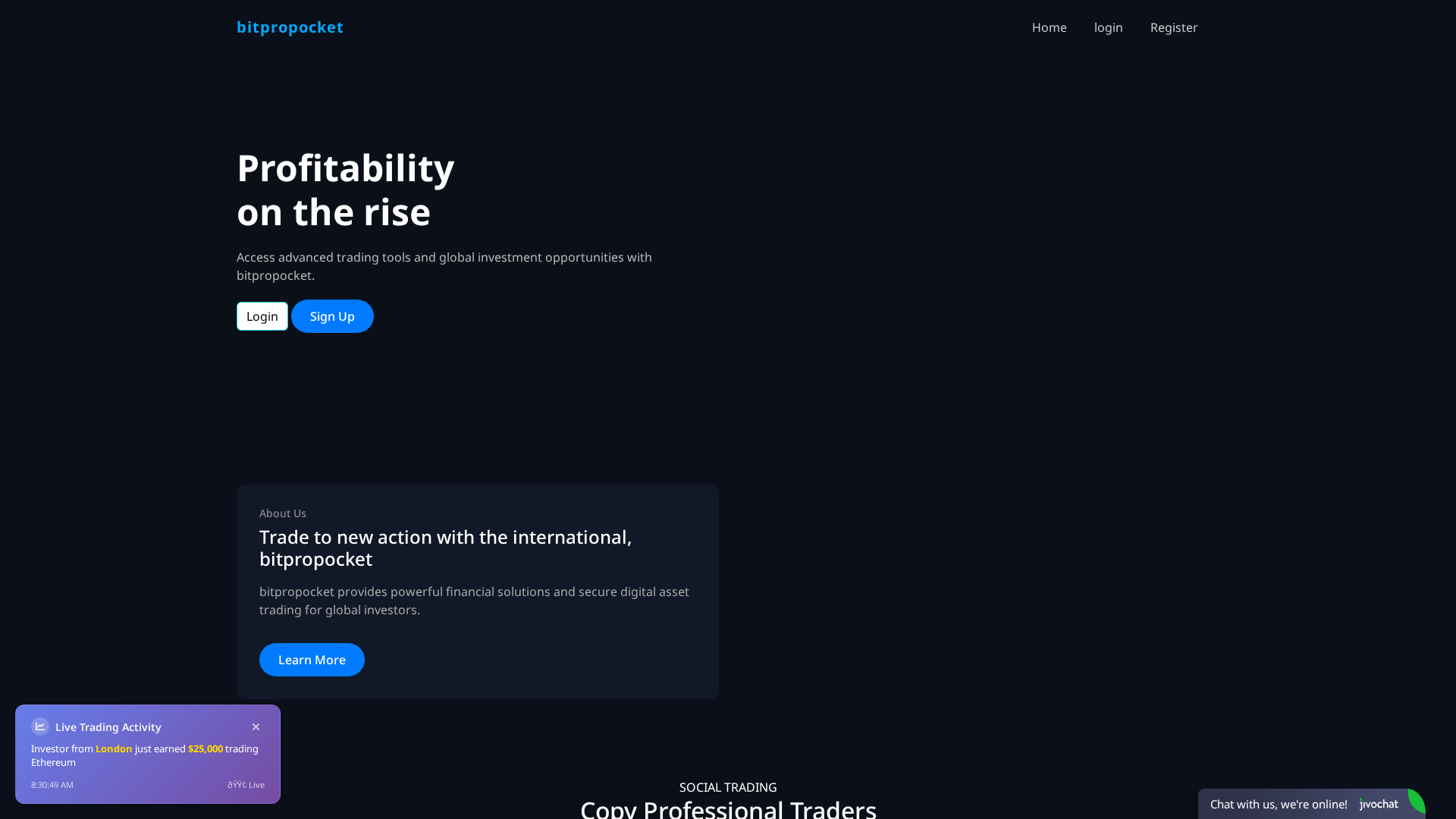 Screenshot of bitpropocket.xyz