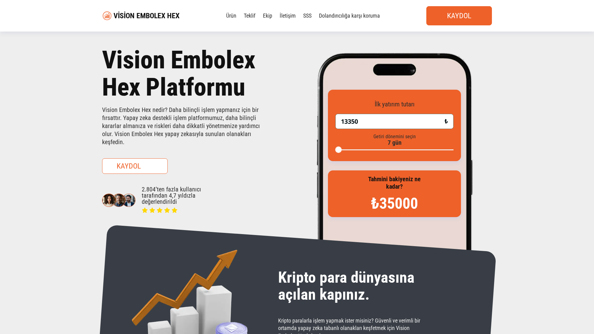 Screenshot of visionembolex-hex.com