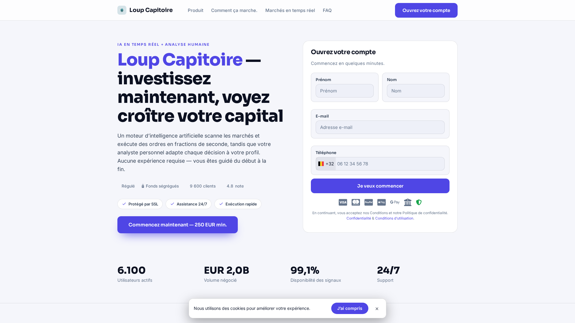 Screenshot of loupcapitoire.online