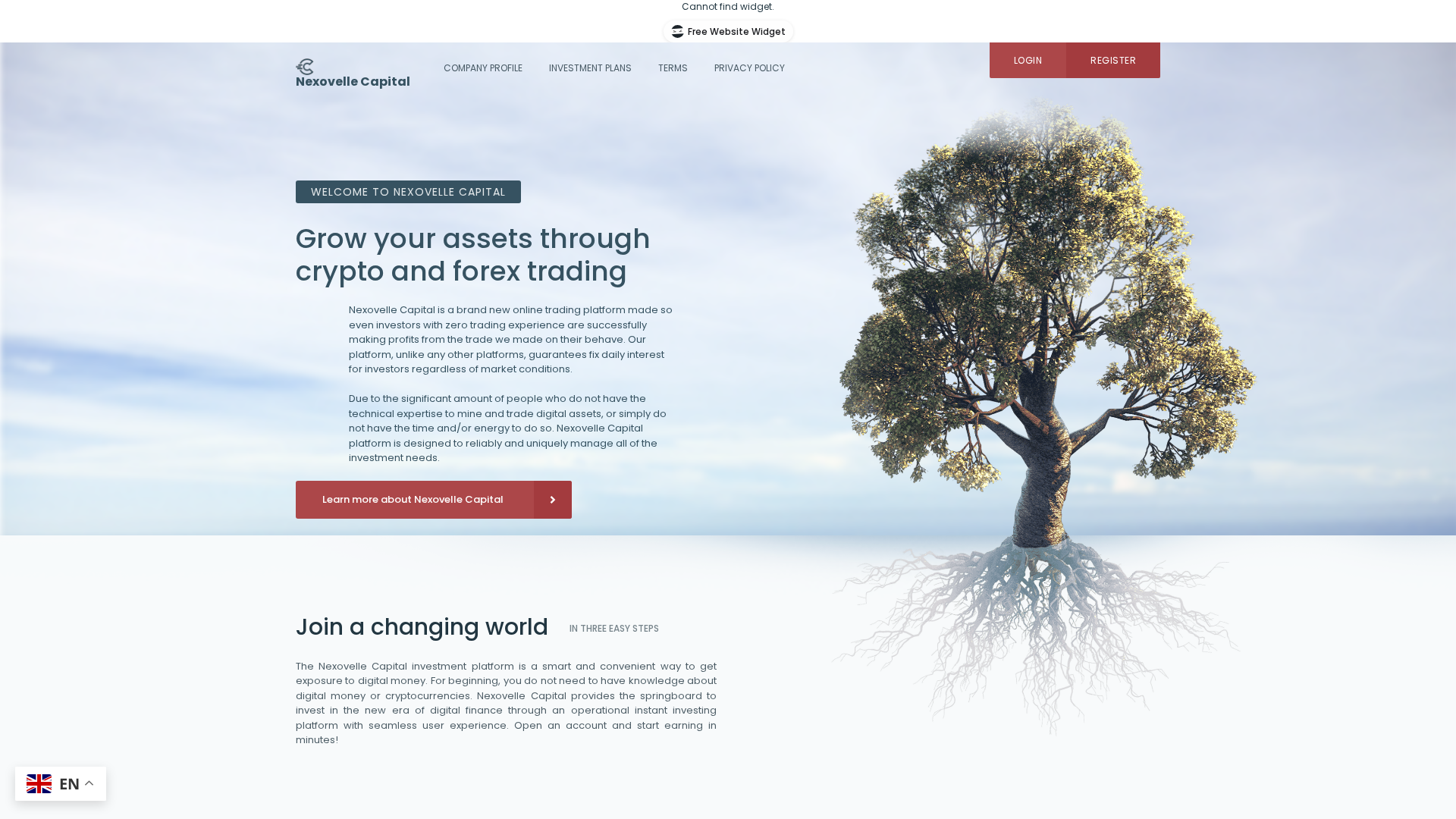 Screenshot of nexovelle-cap.com