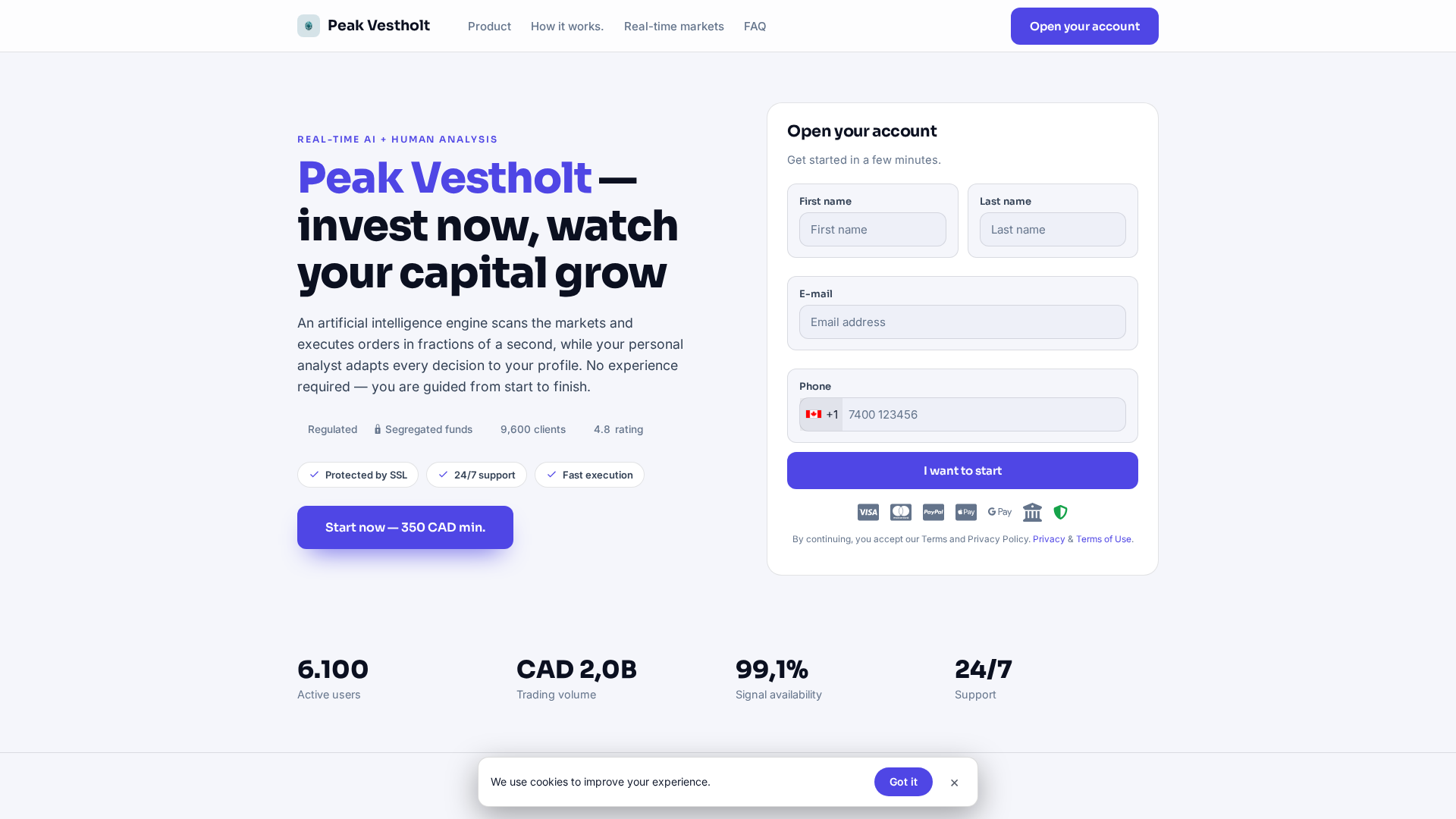Screenshot of peak-vestholt.click
