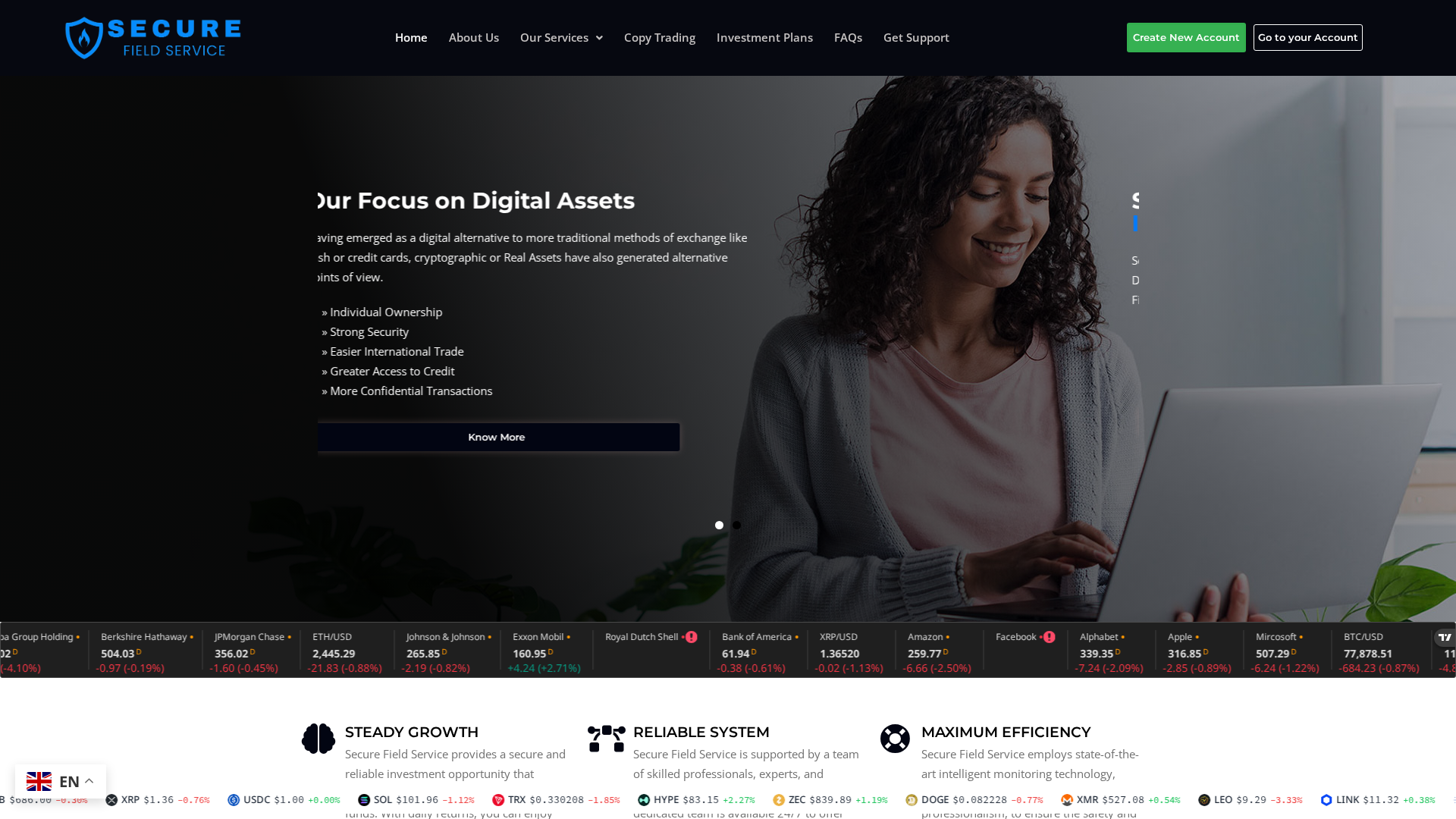 Screenshot of securefieldservice.com