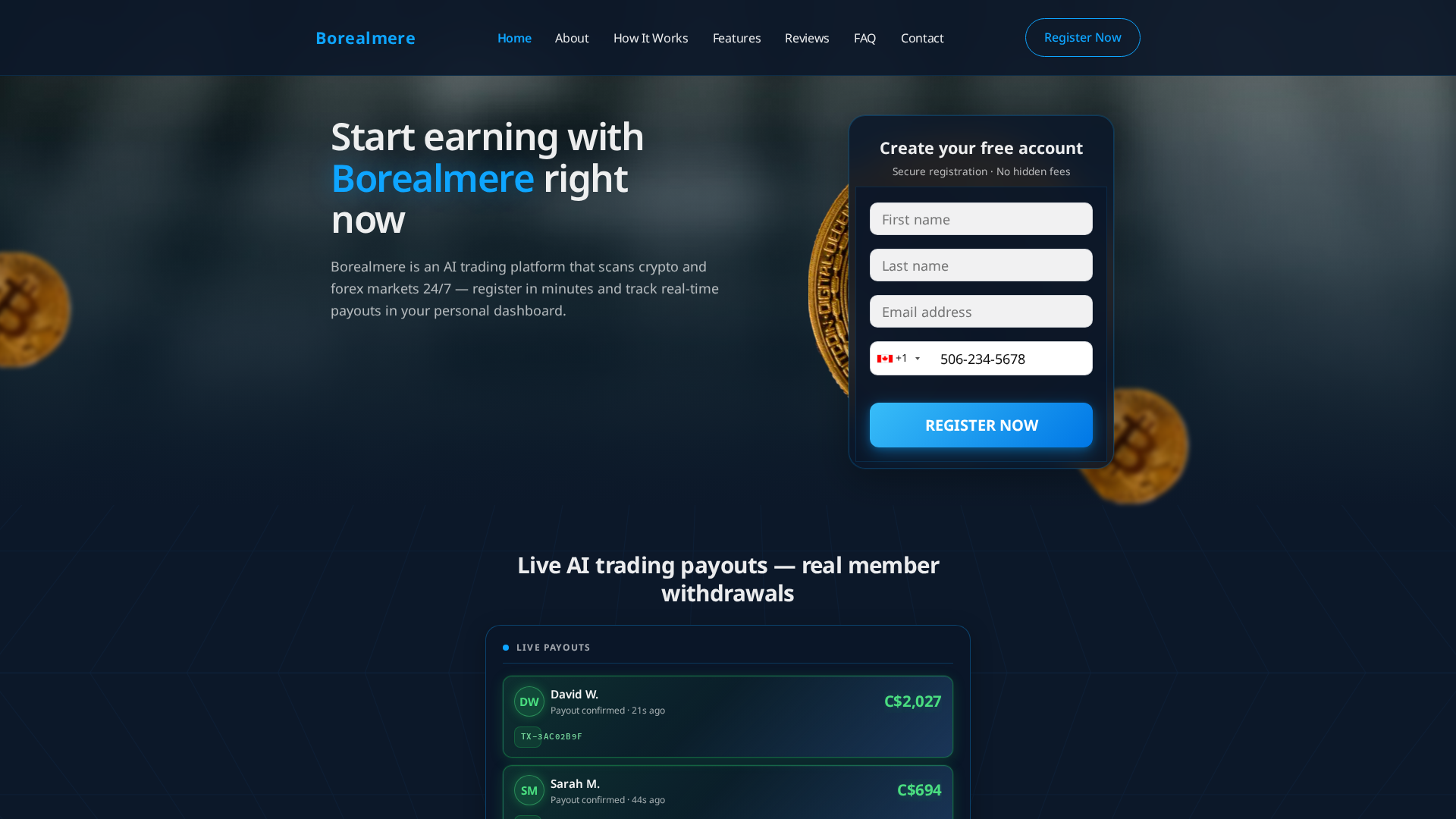 Screenshot of borealmere.cfd