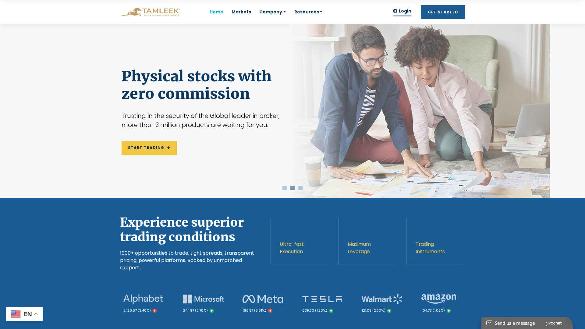 Screenshot of tamleek.org
