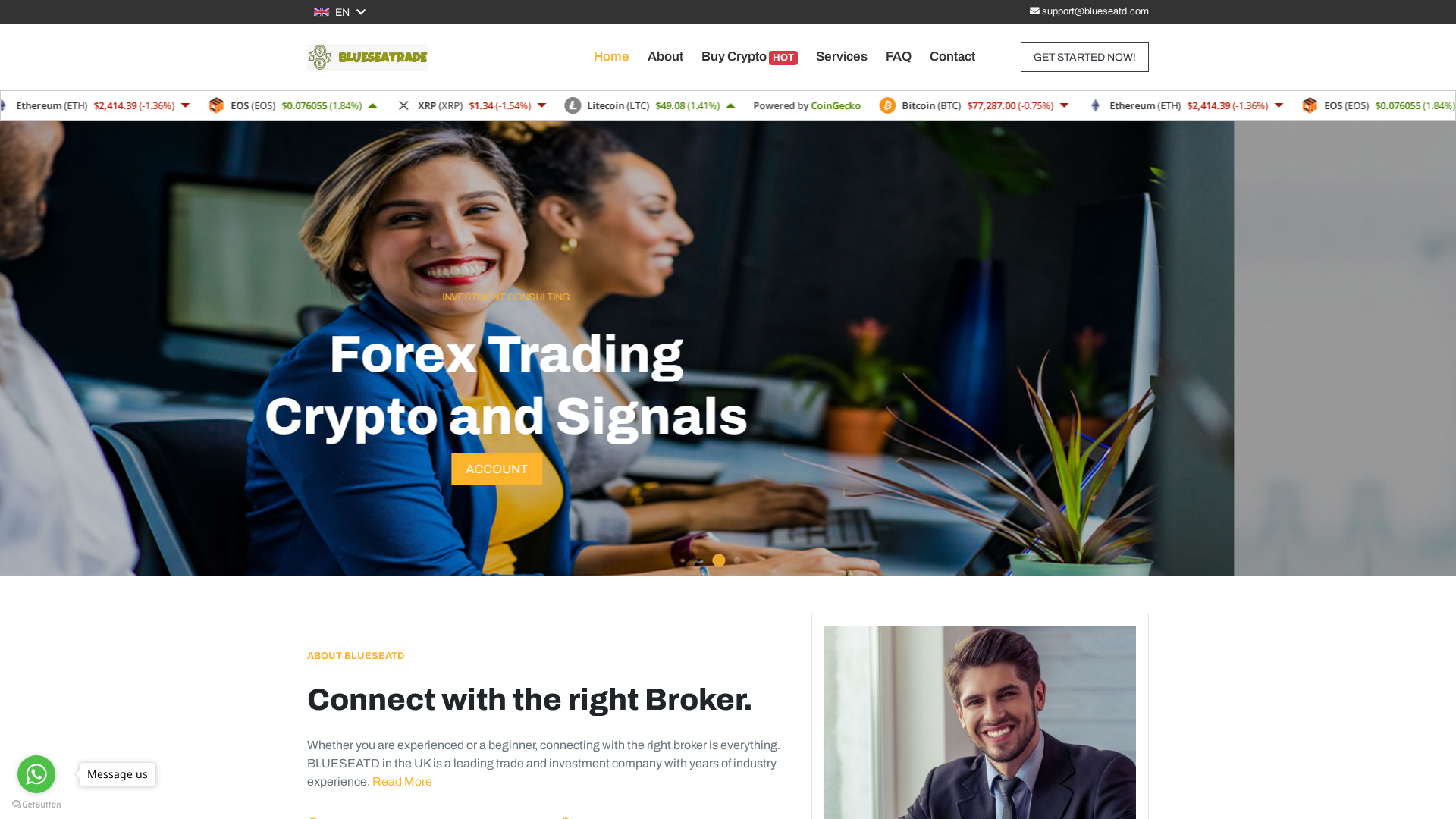 Screenshot of blueseatd.com
