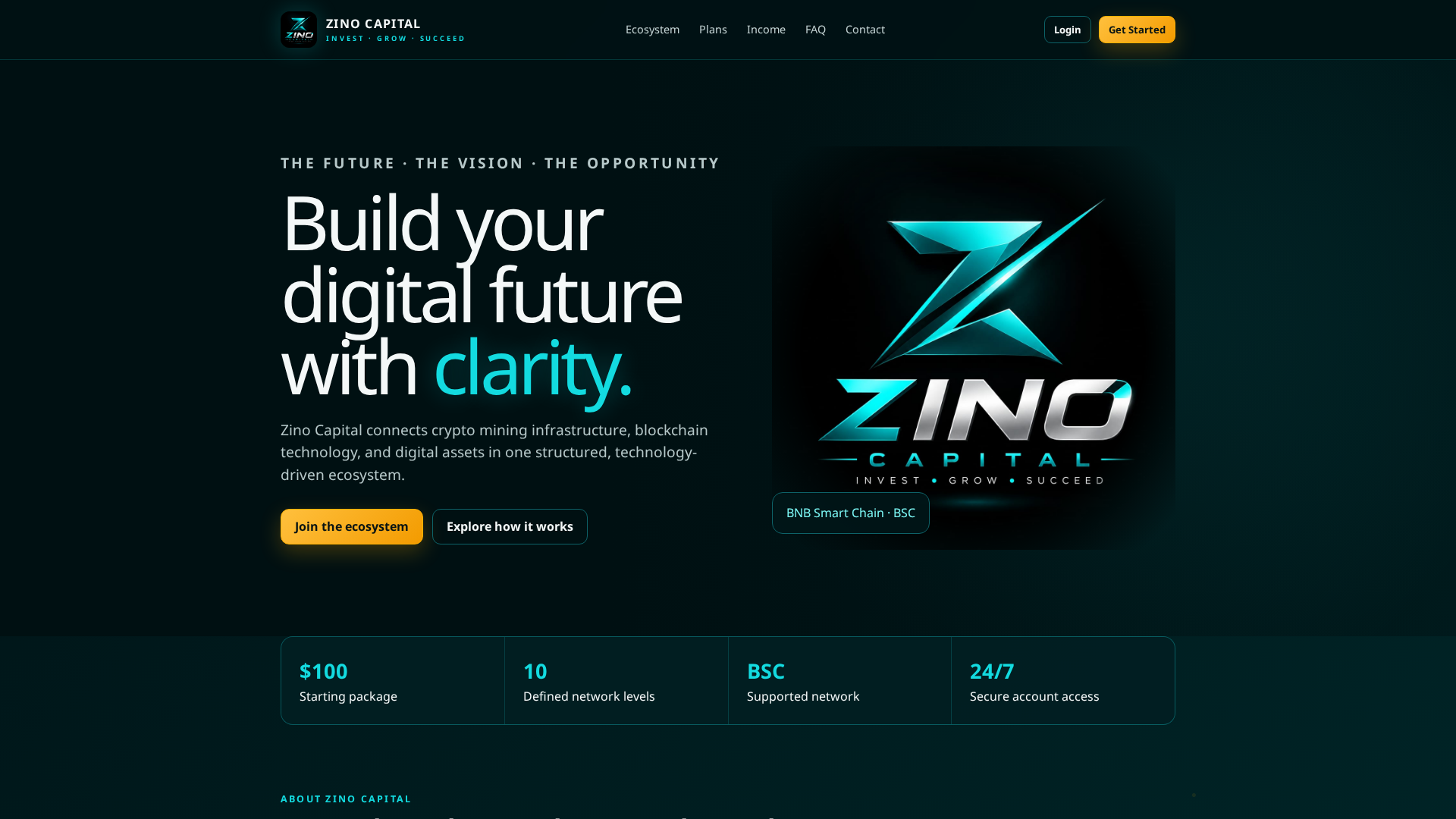 Screenshot of zinocapital.uk